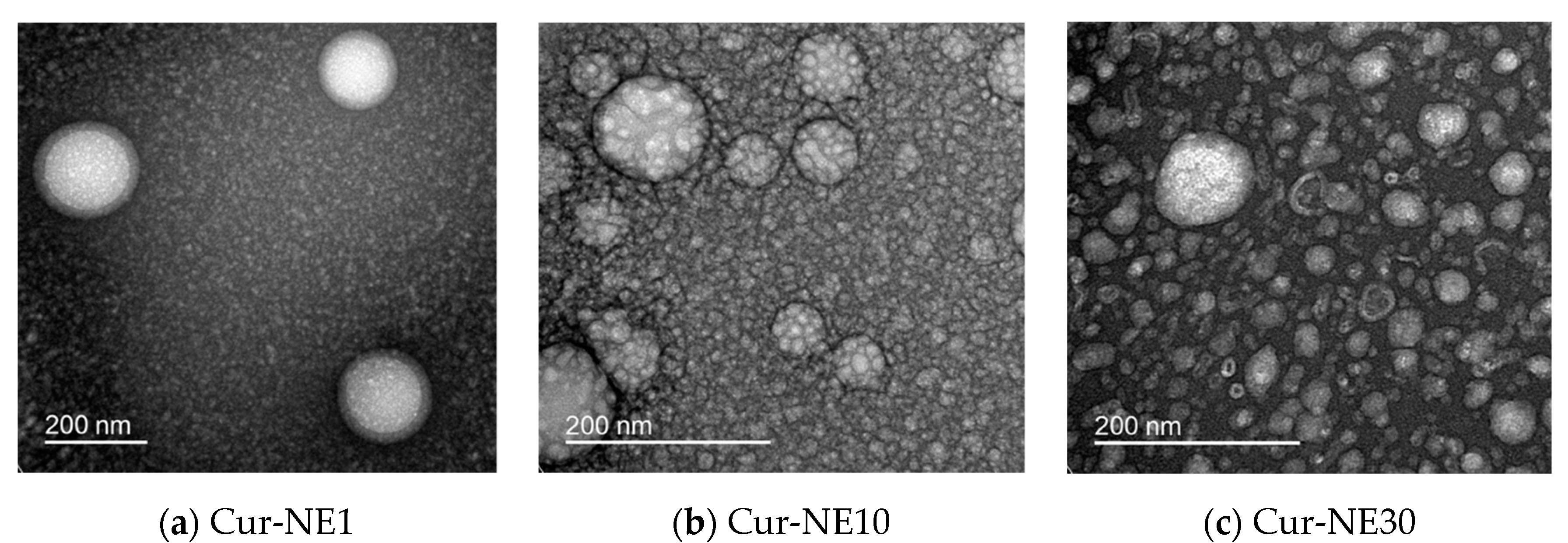 Molecules 24 02744 g002 Molecules 24 02744 g002