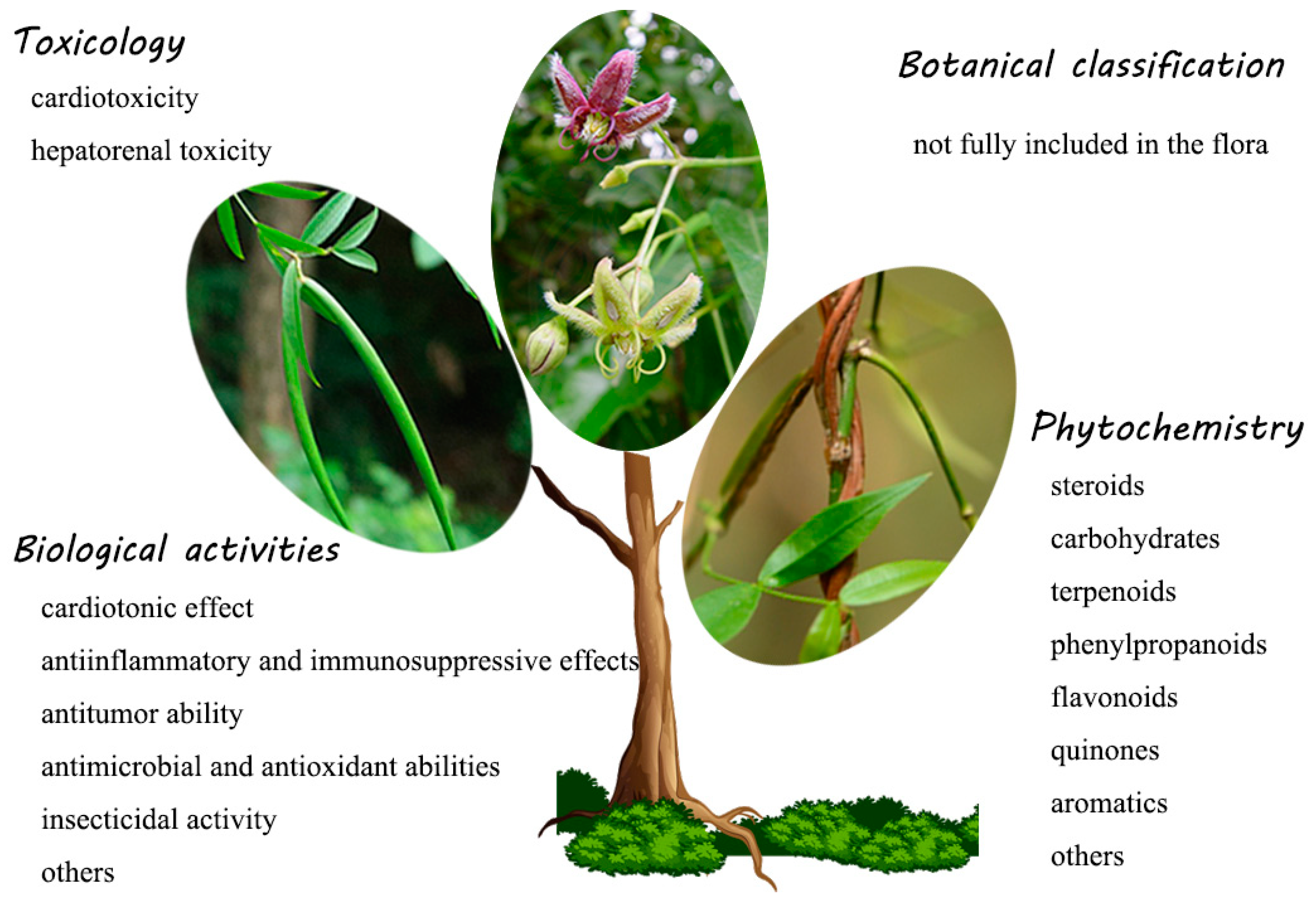 Molecules 24 02749 g001 Molecules 24 02749 g001