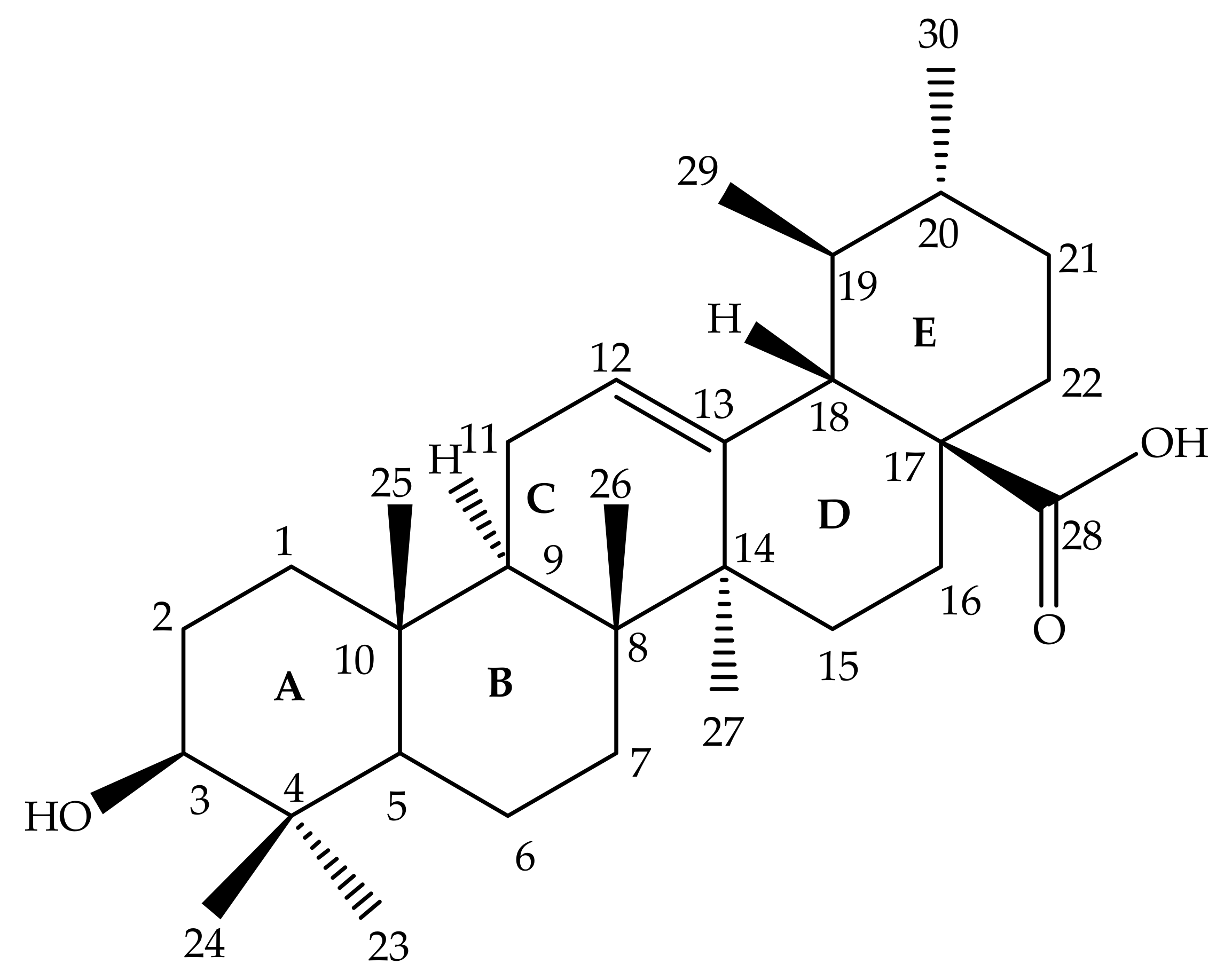 Molecules 24 02751 g001