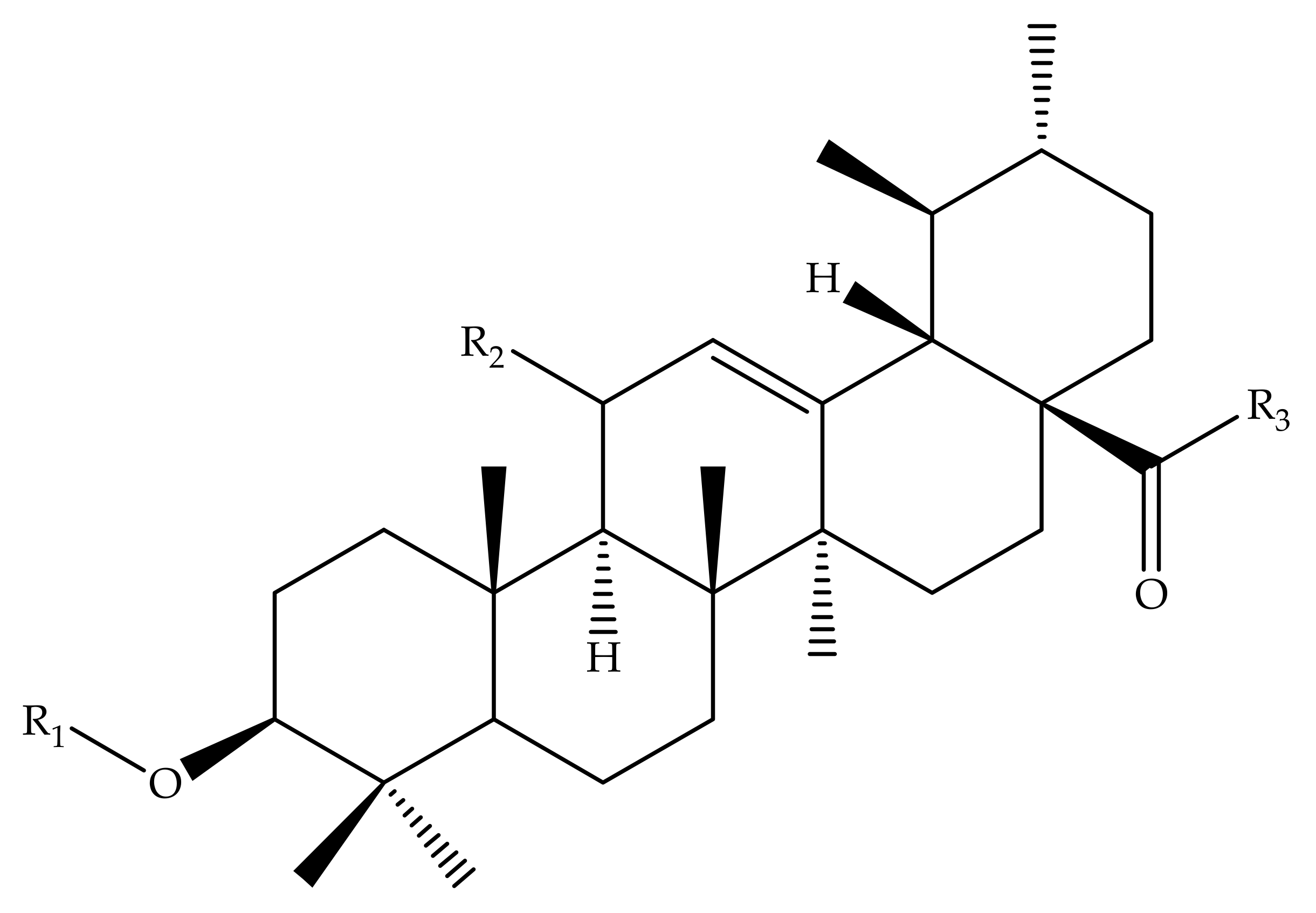 Molecules 24 02751 g004