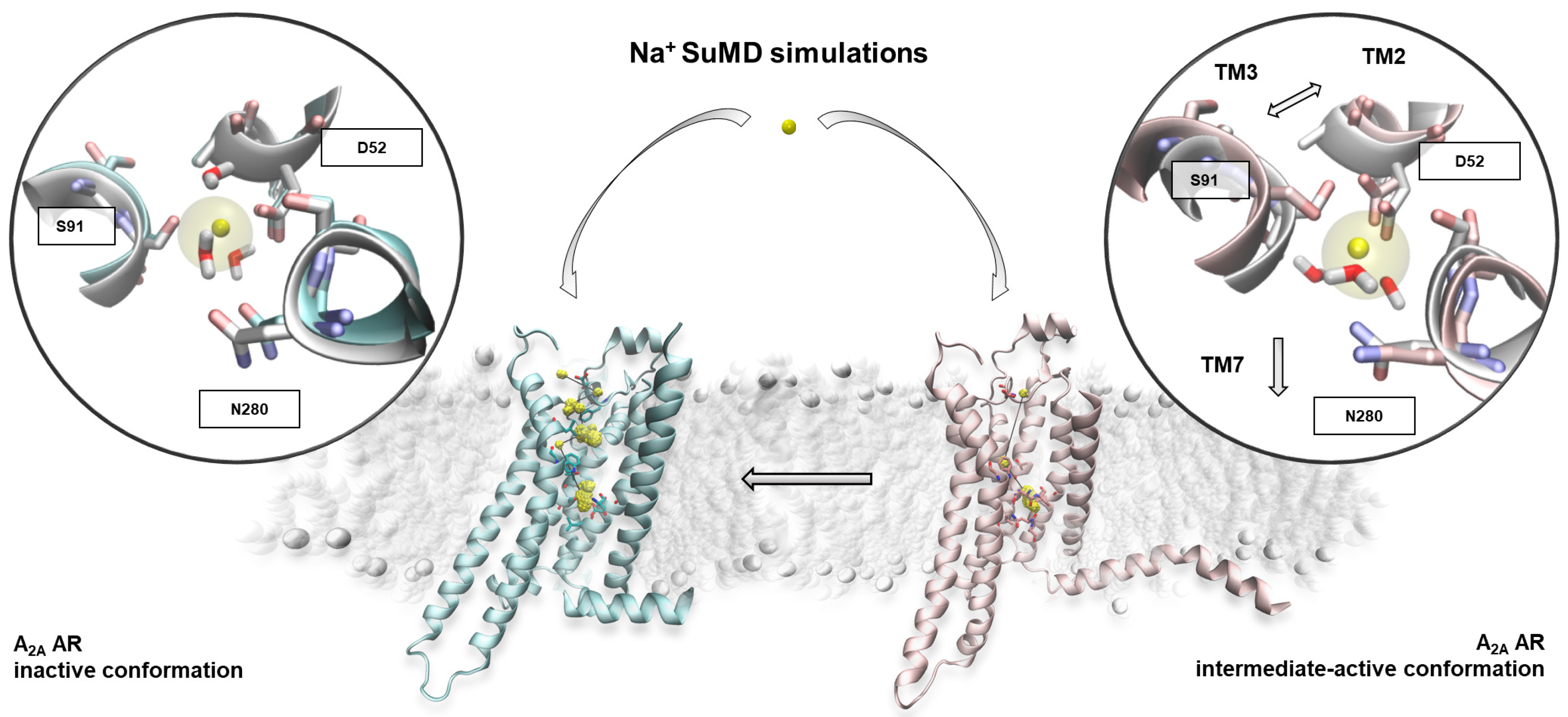 Molecules 24 02752 g001 Molecules 24 02752 g001