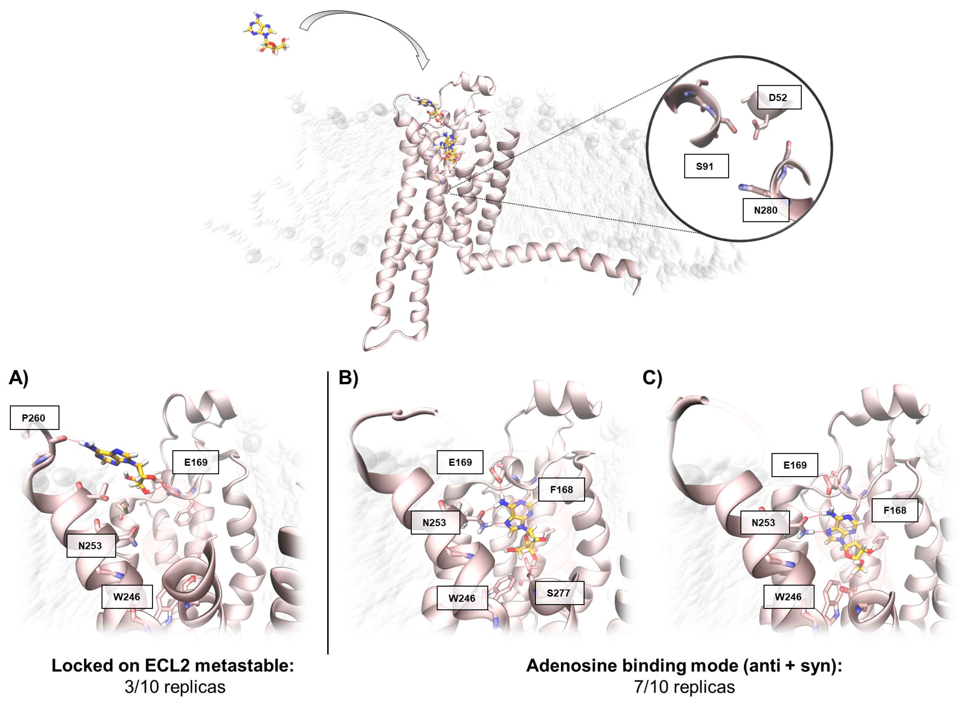 Molecules 24 02752 g002 Molecules 24 02752 g002