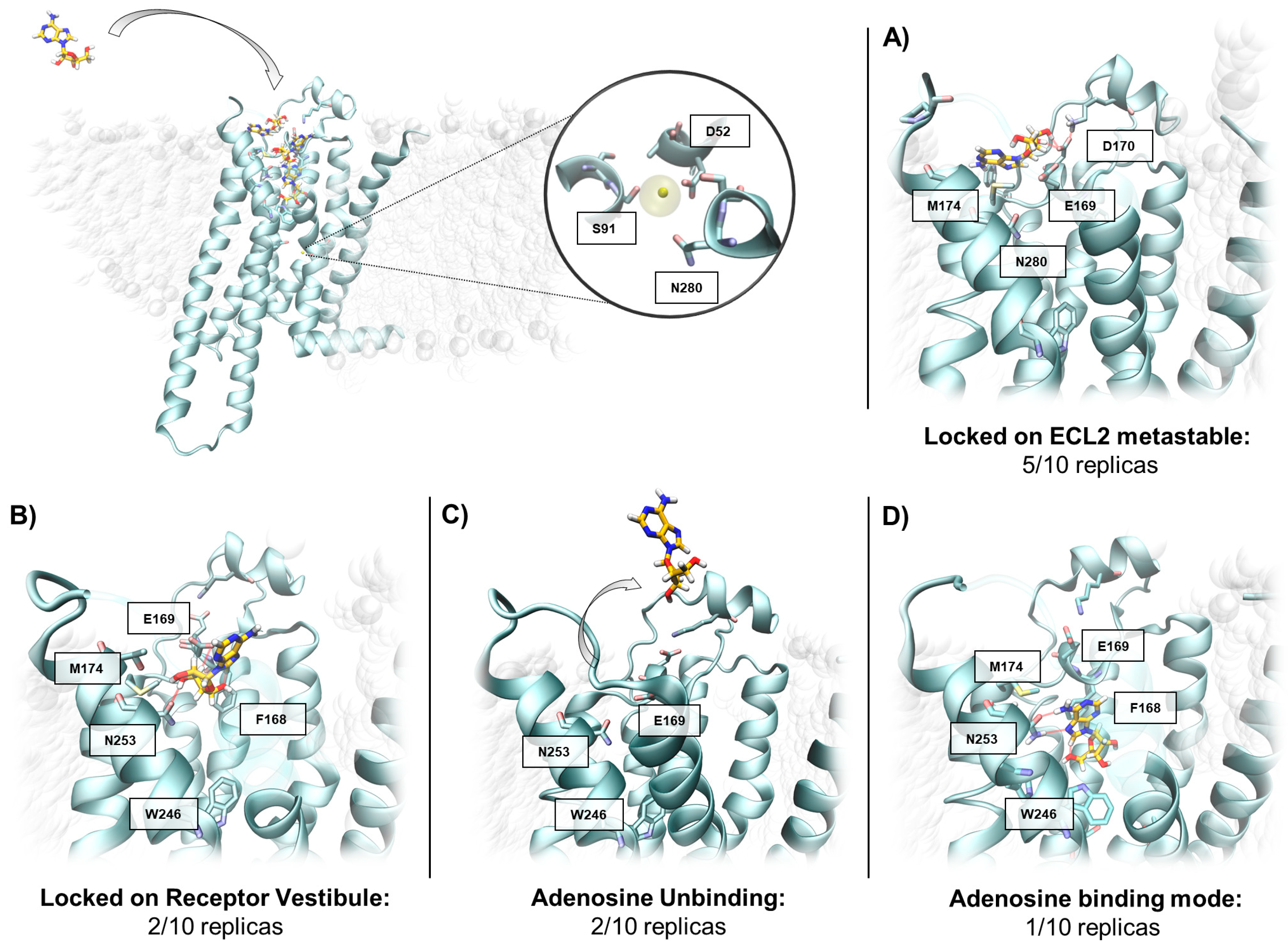 Molecules 24 02752 g003 Molecules 24 02752 g003