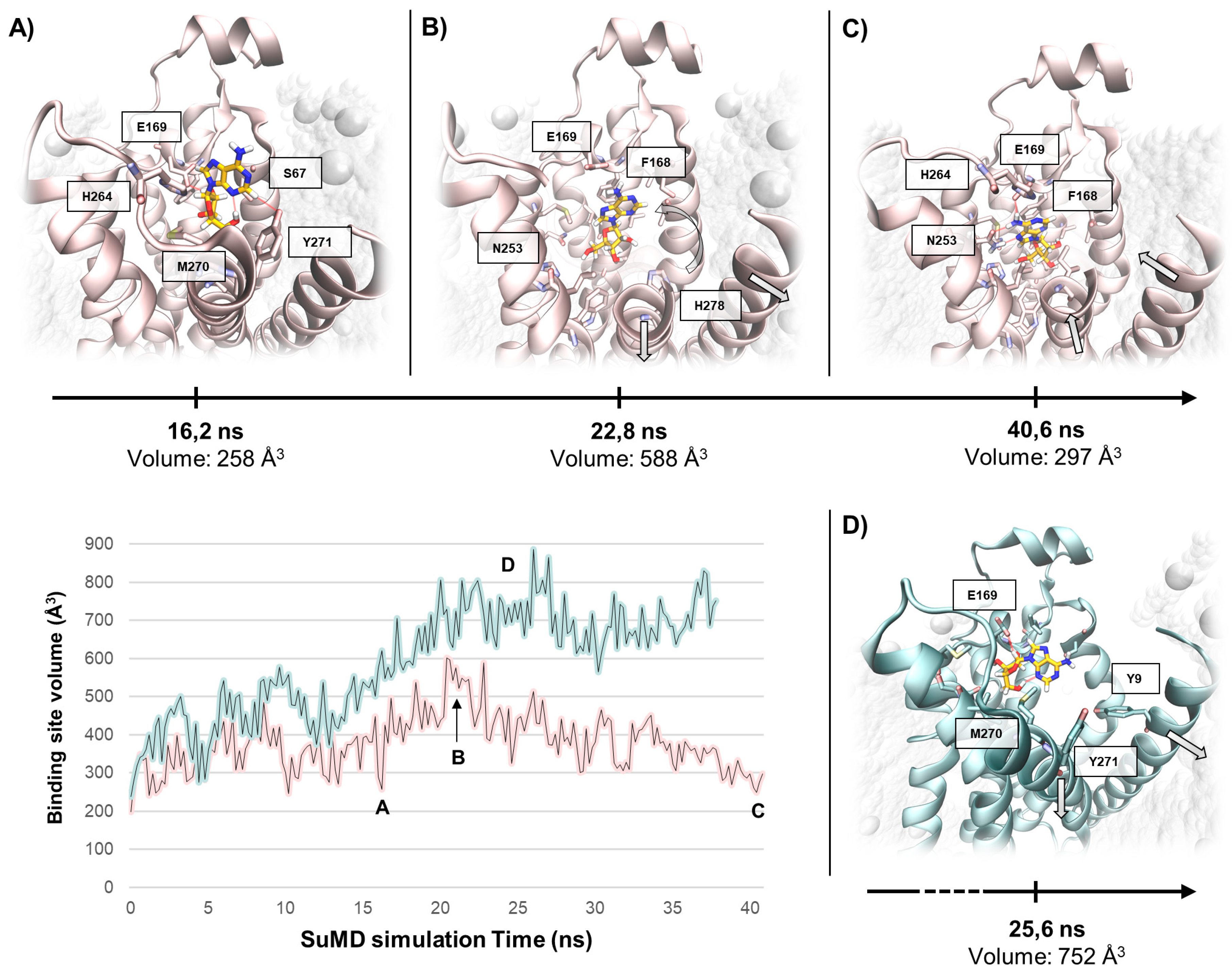 Molecules 24 02752 g005 Molecules 24 02752 g005