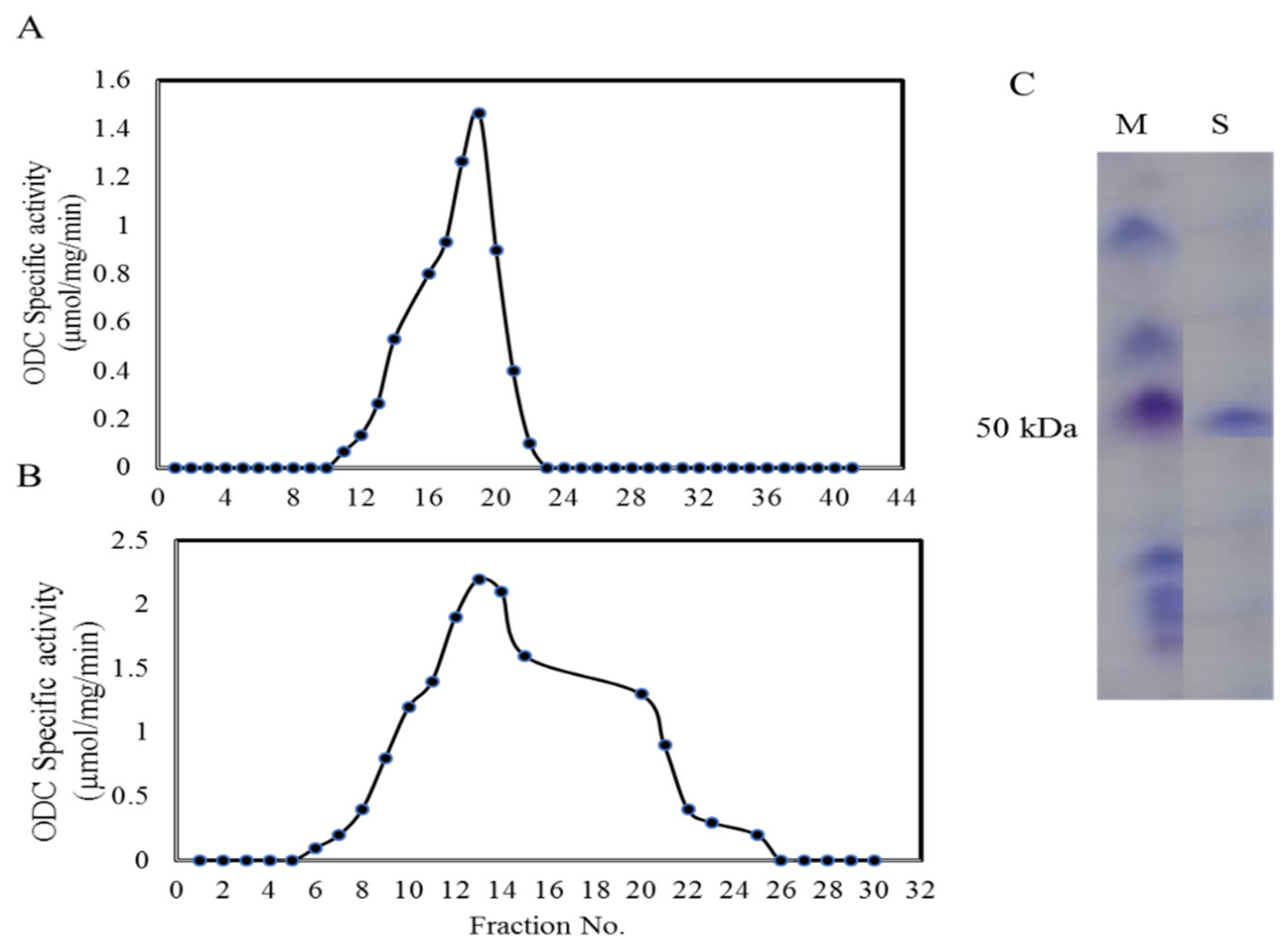 Molecules 24 02756 g003 Molecules 24 02756 g003