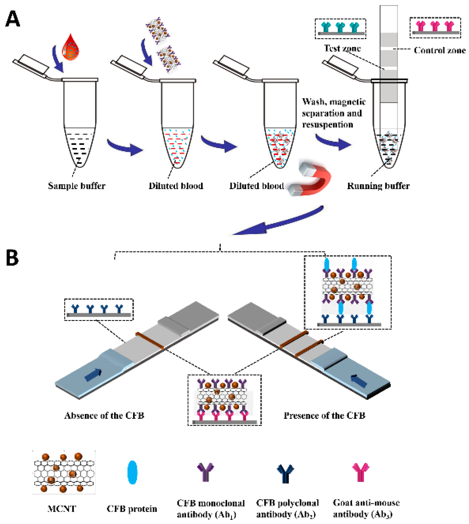 Molecules 24 02759 g002 Molecules 24 02759 g002