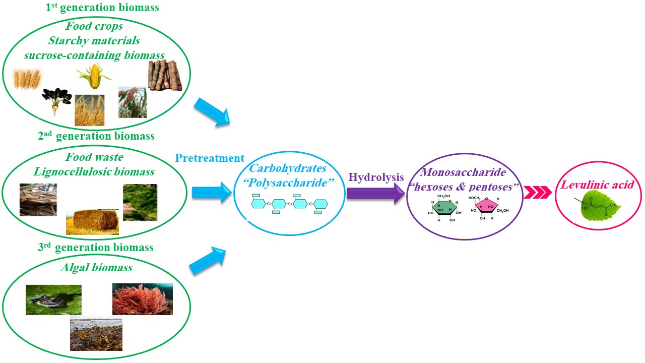 Molecules Free Full Text Catalytic Production Of Levulinic Acid La From Actual Biomass Html