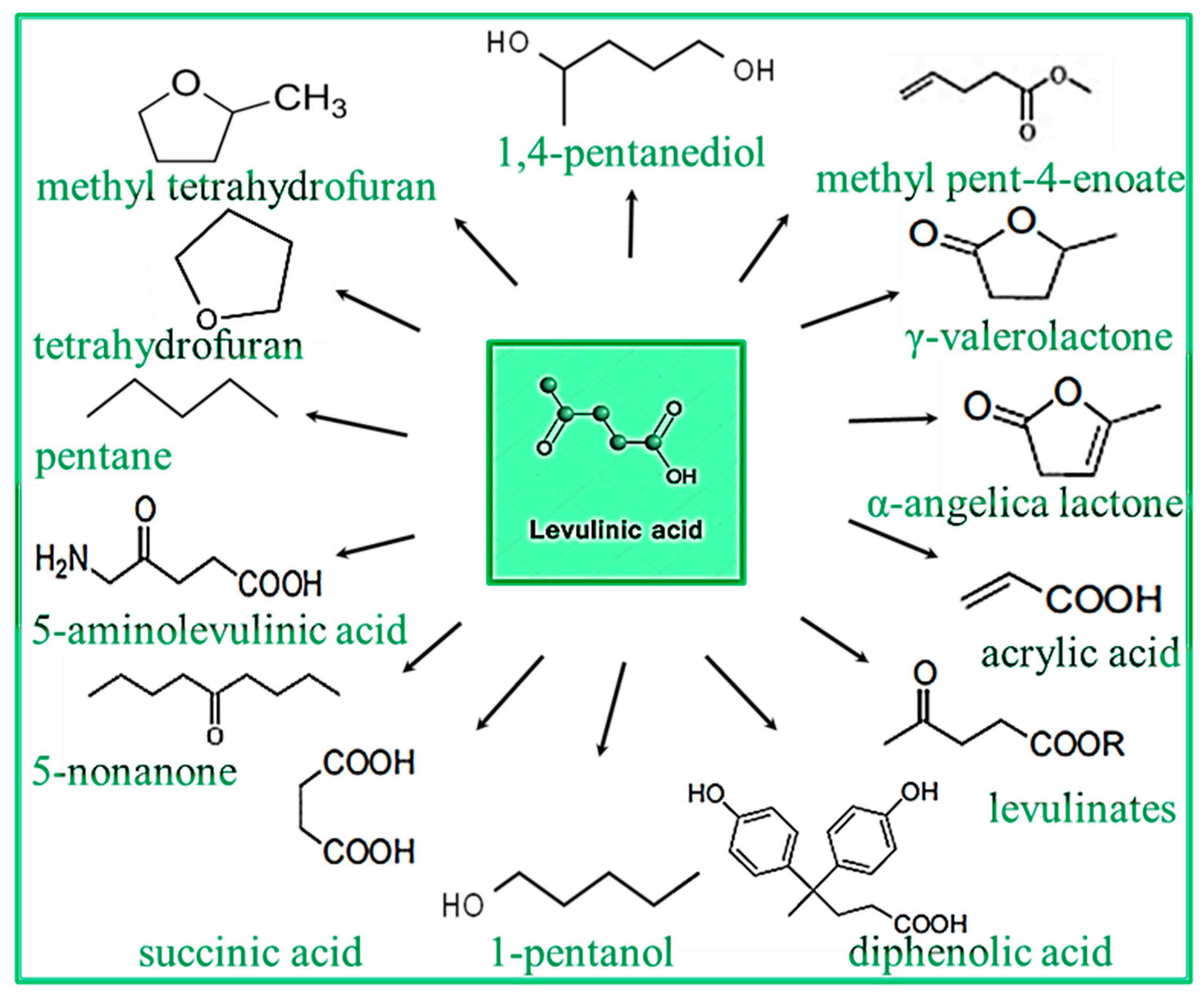 Molecules 24 02760 g002