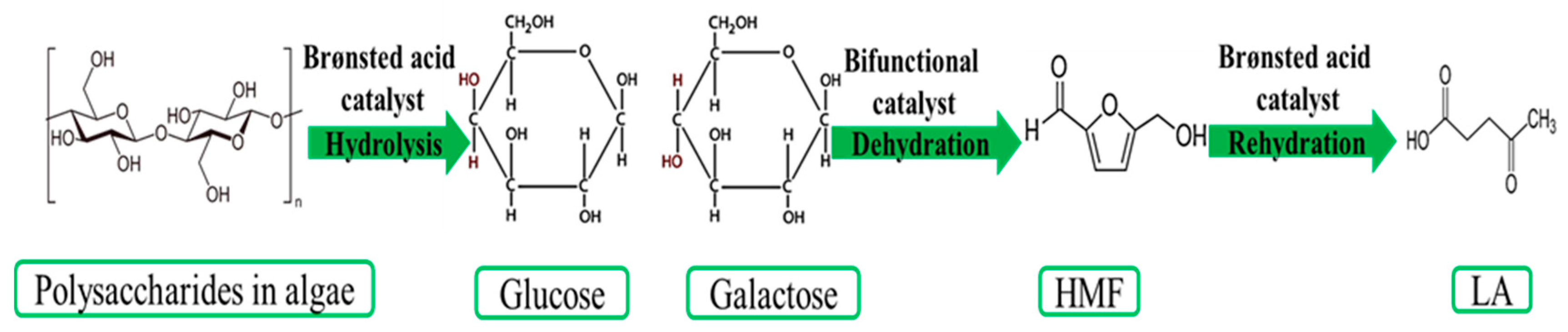 Molecules 24 02760 g006 Molecules 24 02760 g006