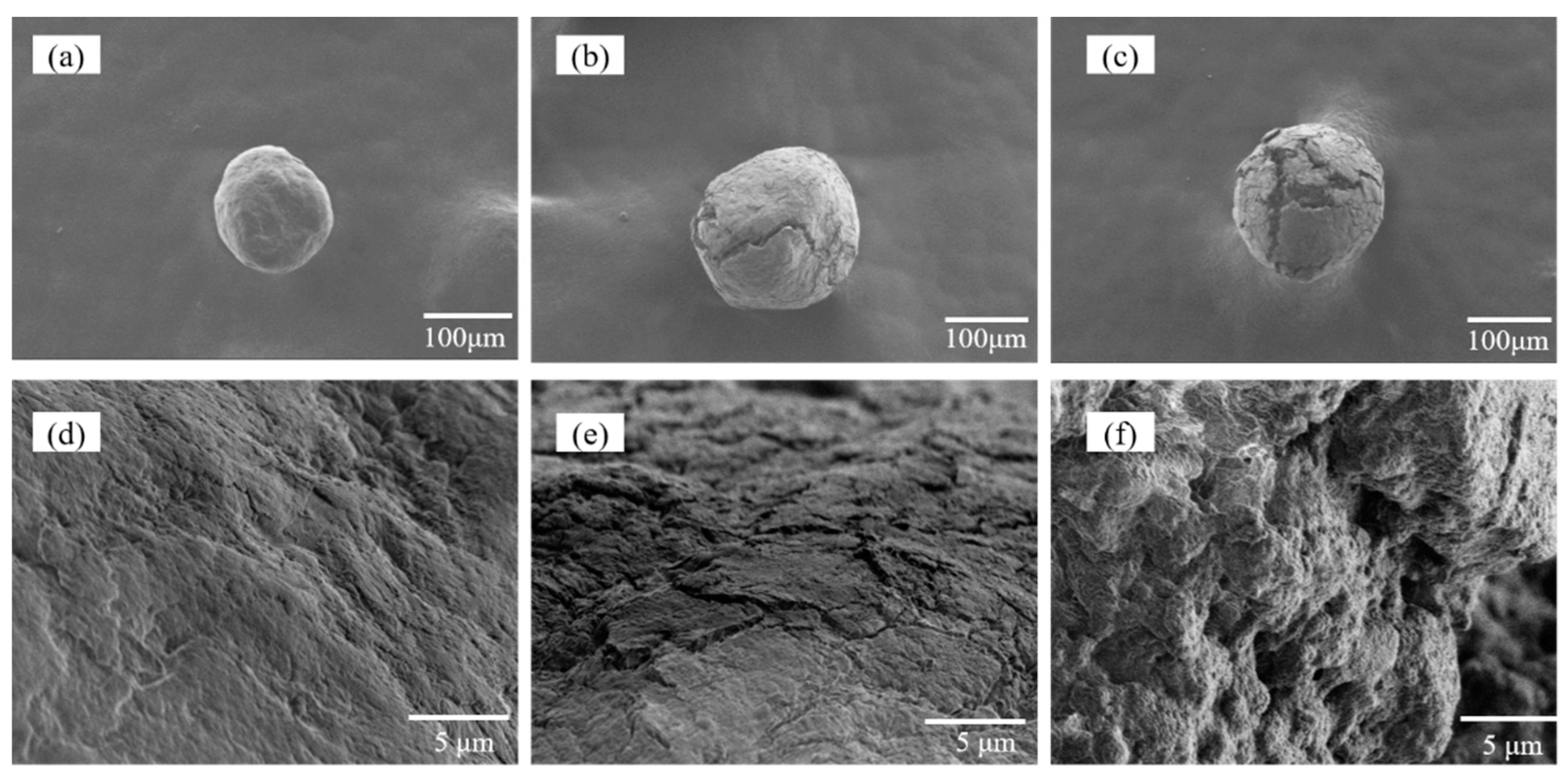 Molecules 24 02762 g005
