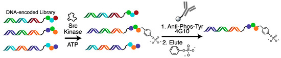 Molecules | Special Issue : DNA-Encoded Chemical Libraries