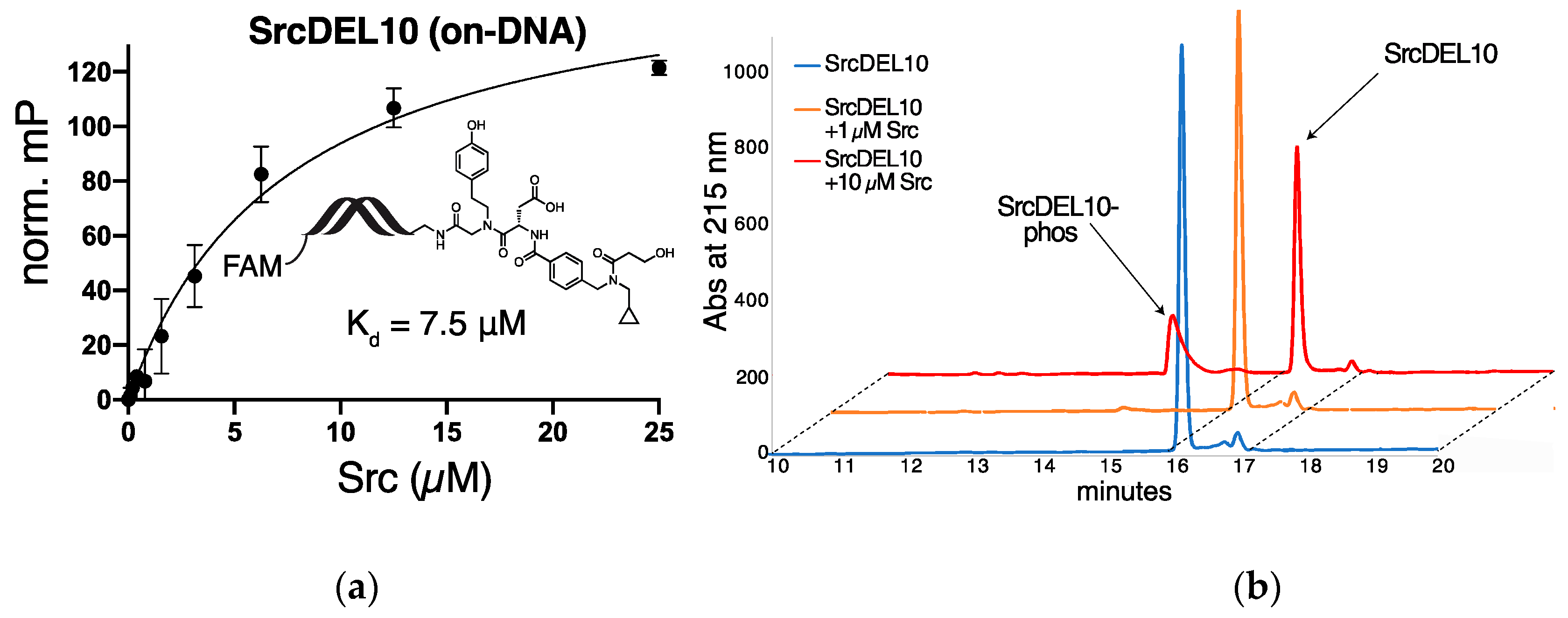 Molecules 24 02764 g003 Molecules 24 02764 g003
