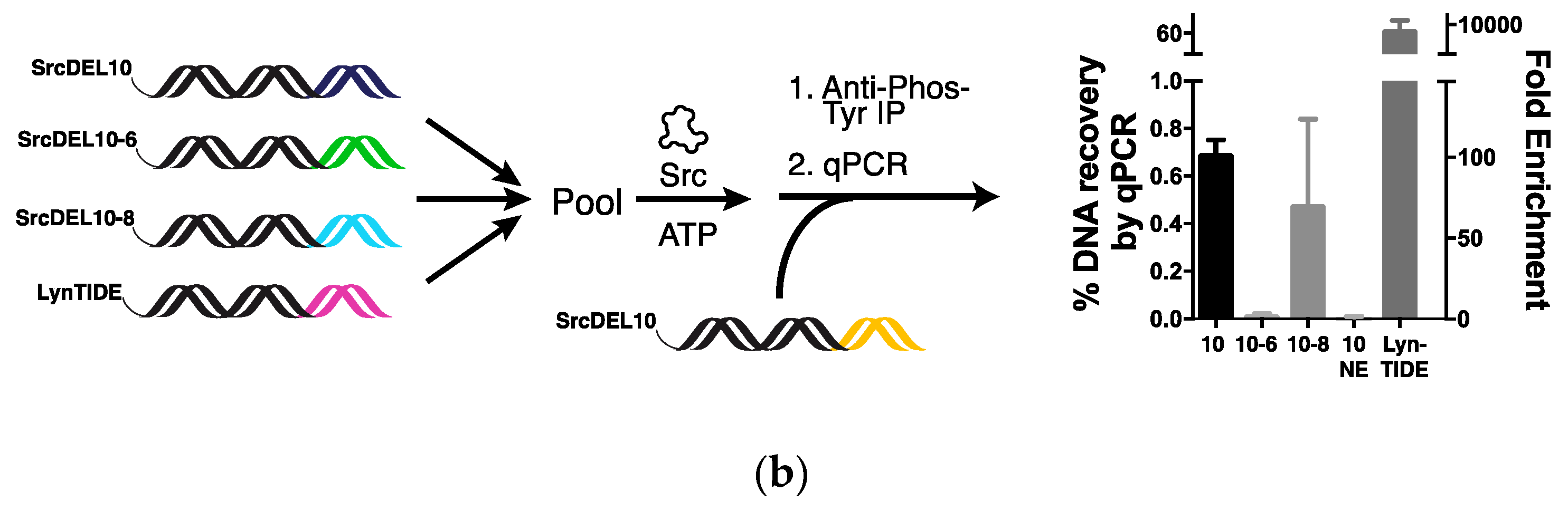 Molecules 24 02764 g005b Molecules 24 02764 g005b
