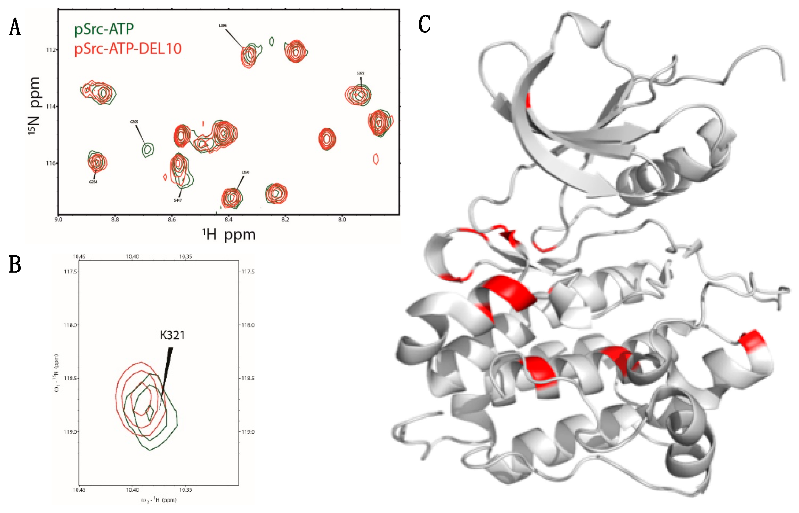 Molecules 24 02764 g007 Molecules 24 02764 g007