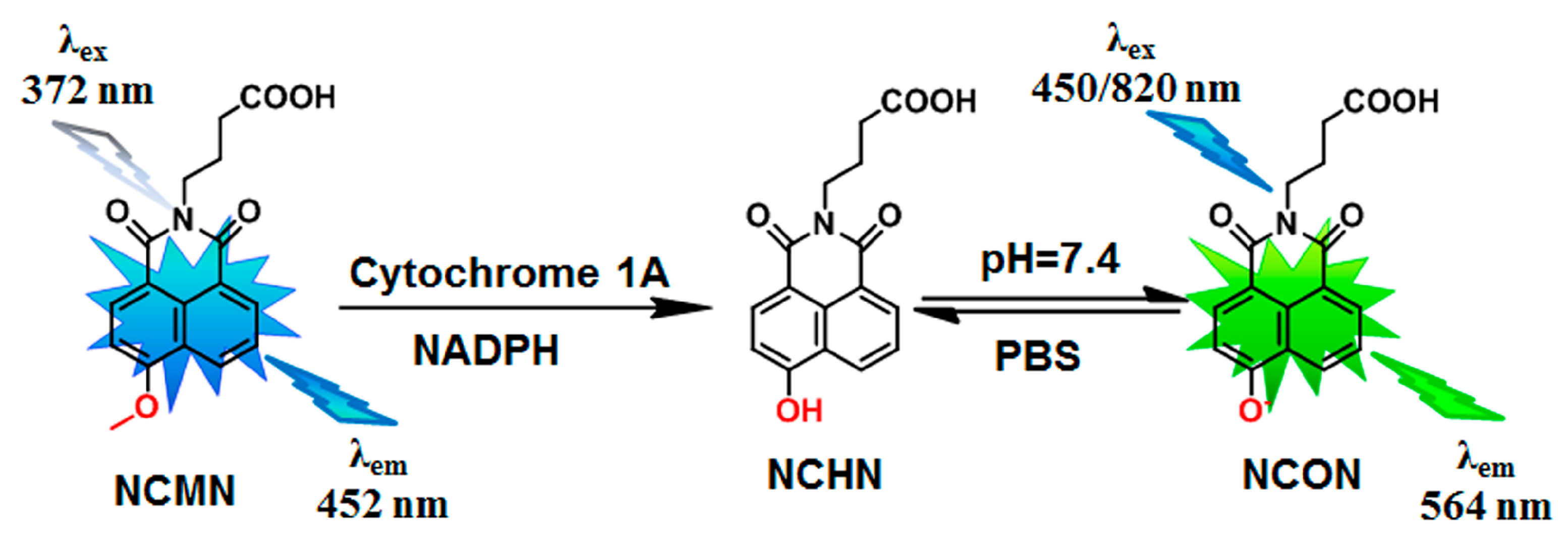 Molecules 24 02765 g001 Molecules 24 02765 g001