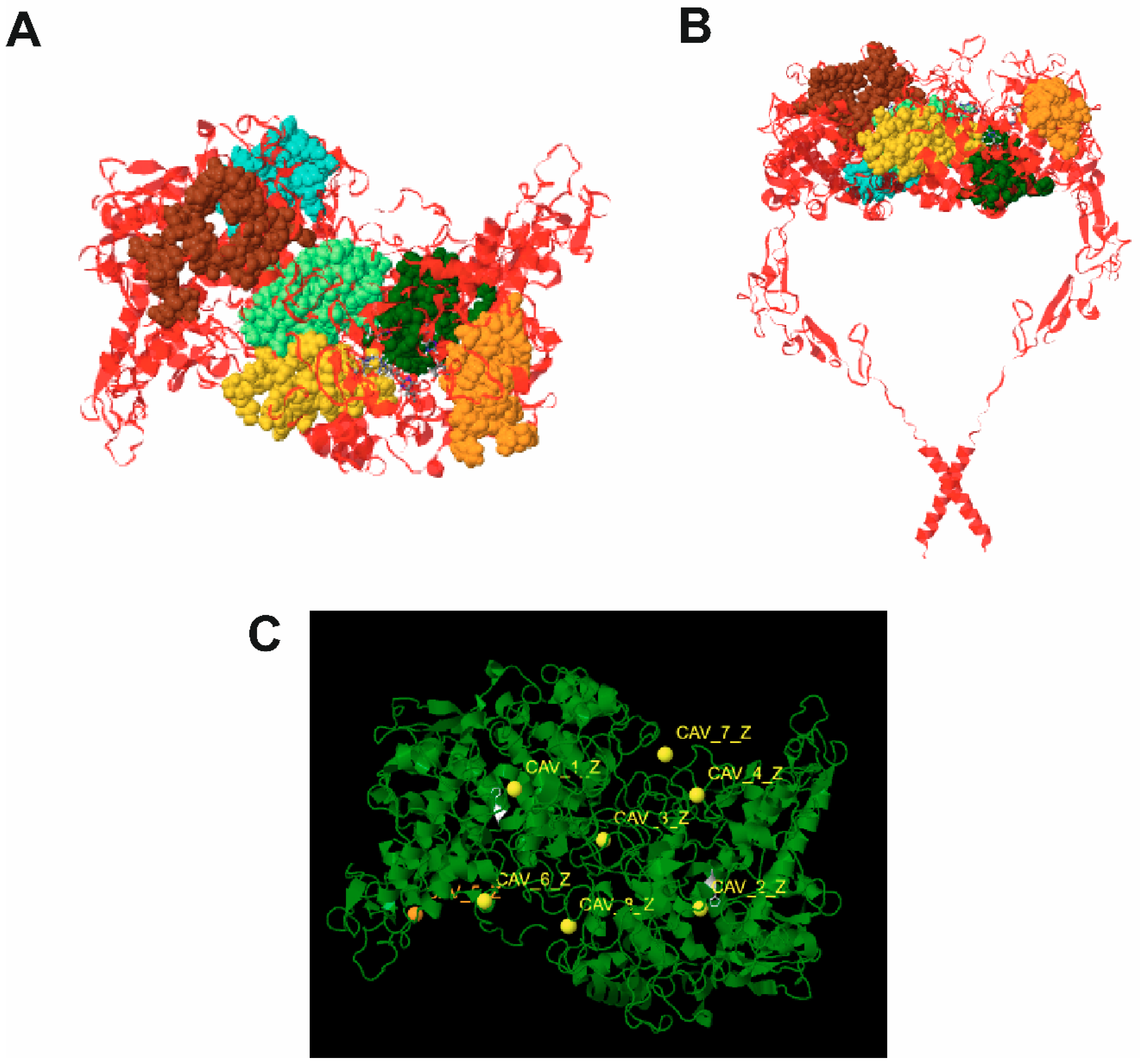 Molecules 24 02766 g003