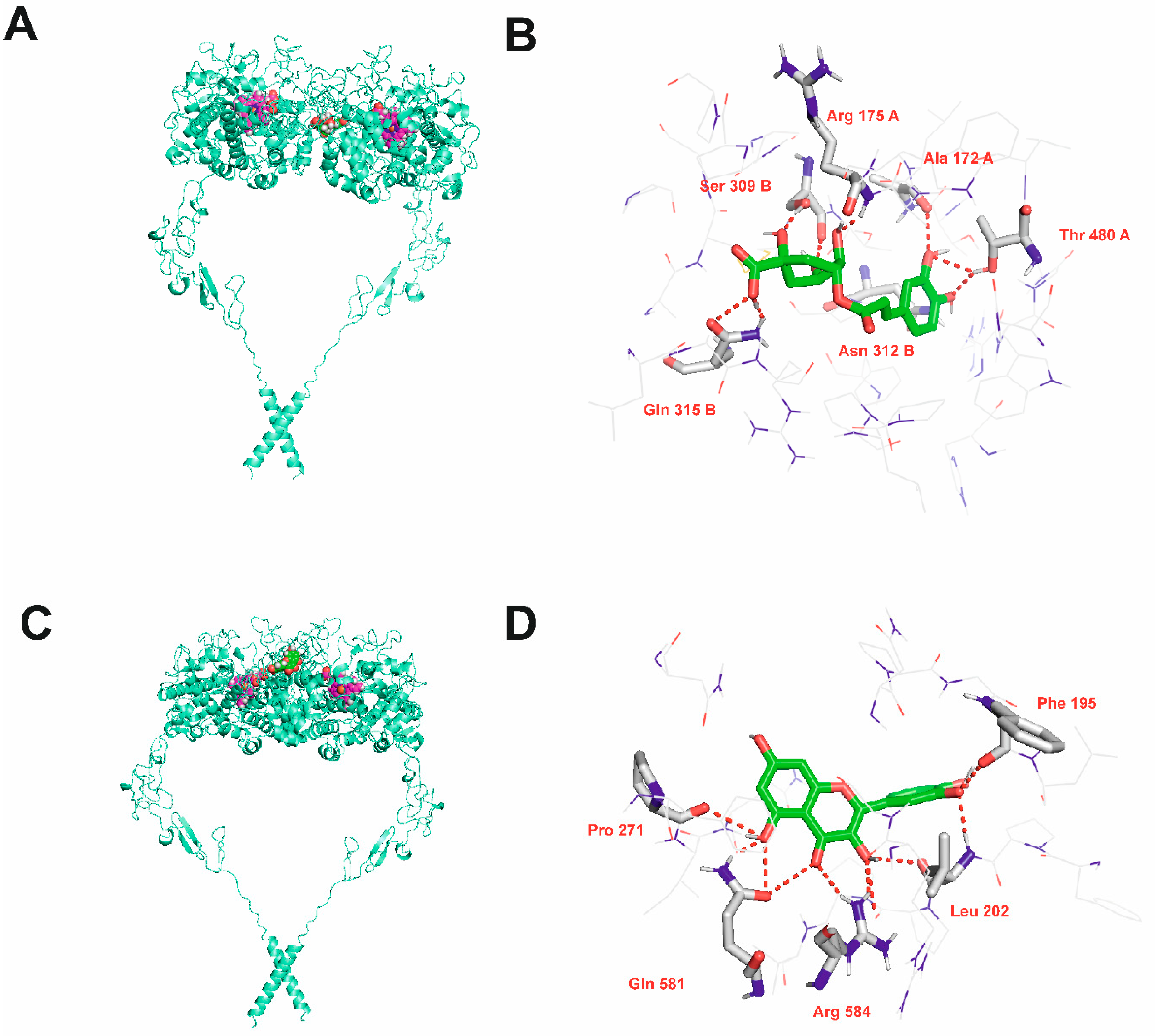 Molecules 24 02766 g004