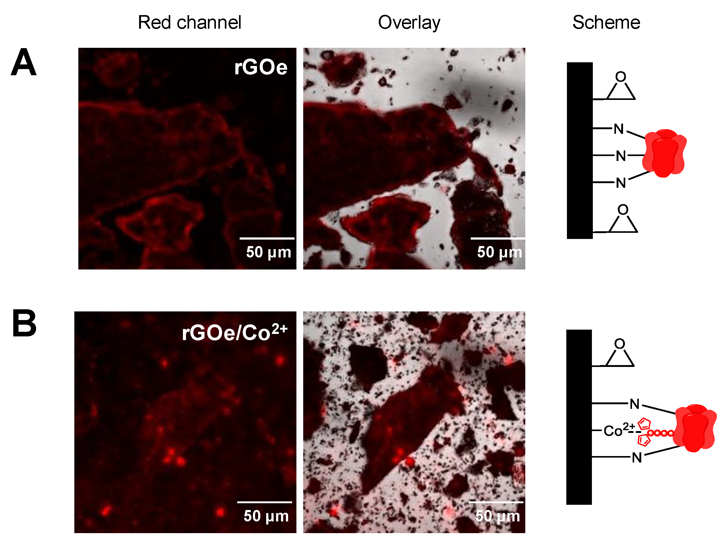 Molecules 24 02775 g001 Molecules 24 02775 g001