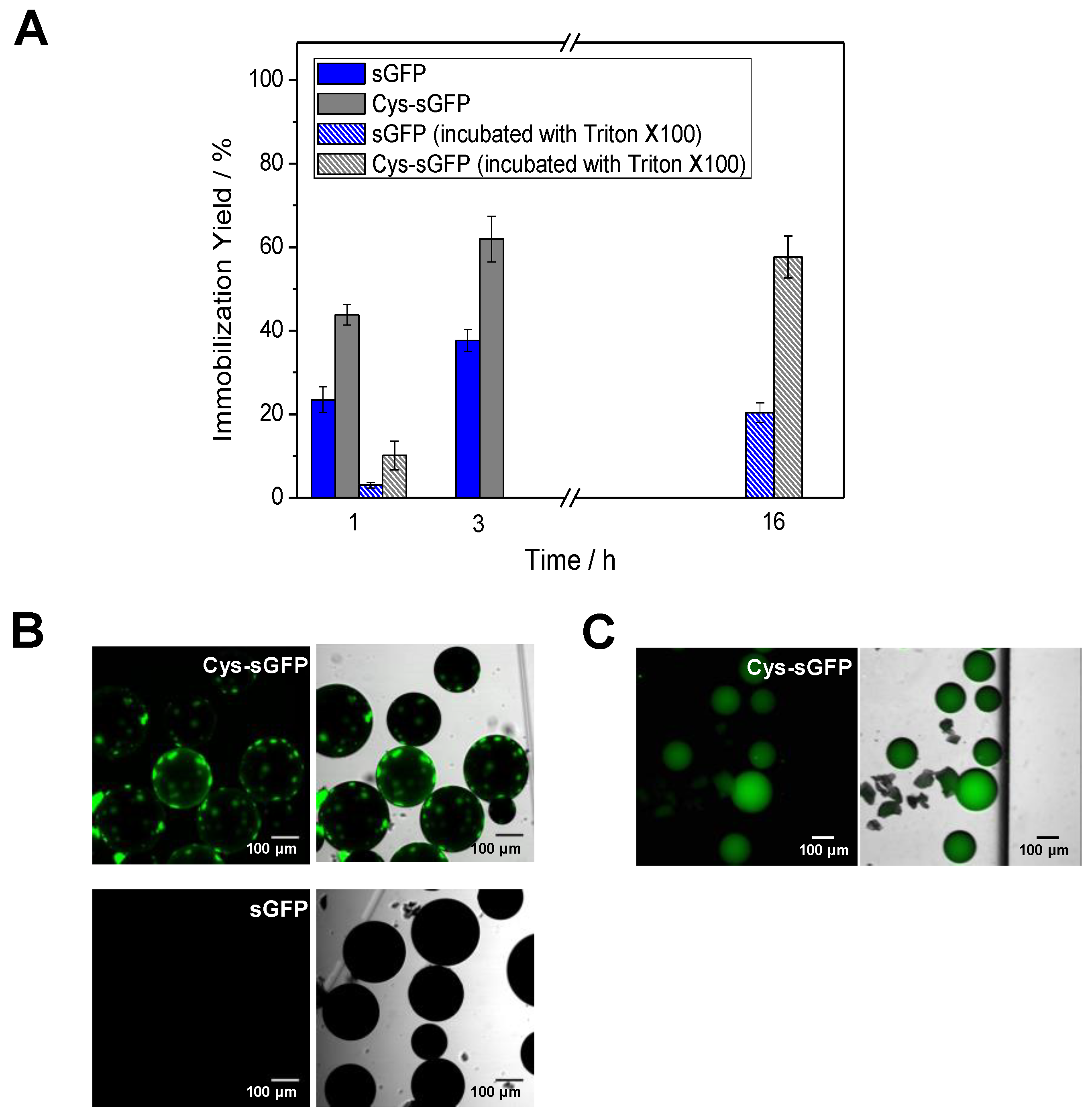 Molecules 24 02775 g003 Molecules 24 02775 g003