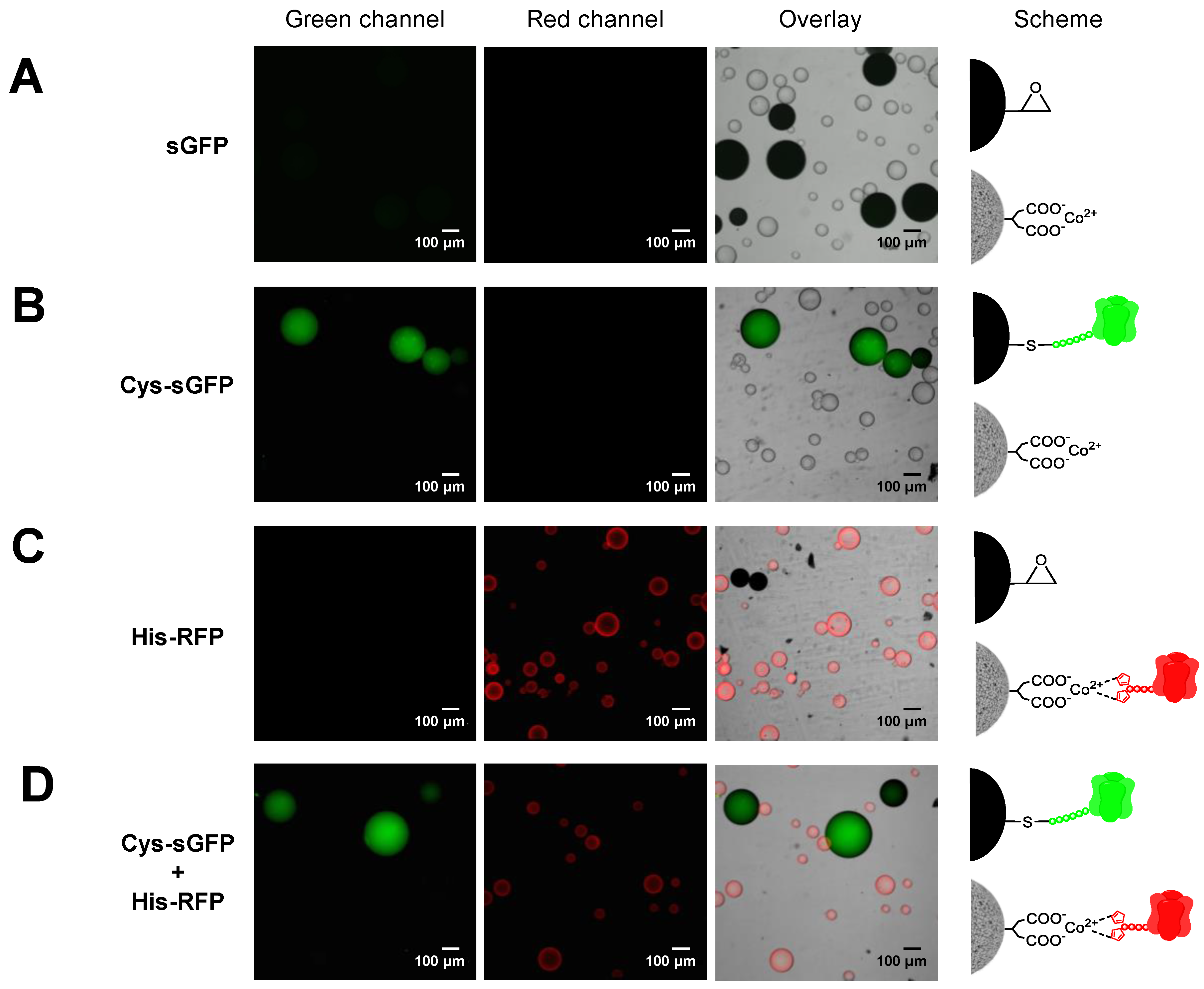 Molecules 24 02775 g004 Molecules 24 02775 g004