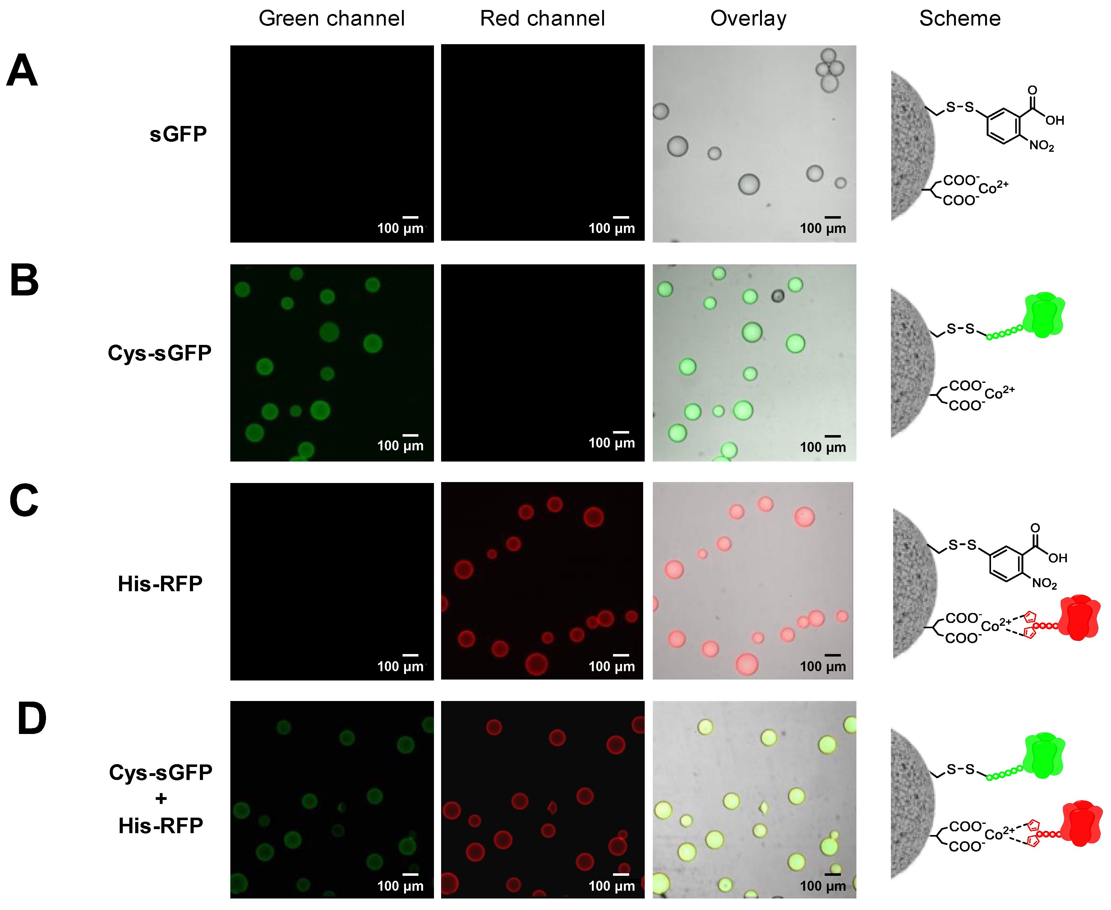 Molecules 24 02775 g005 Molecules 24 02775 g005
