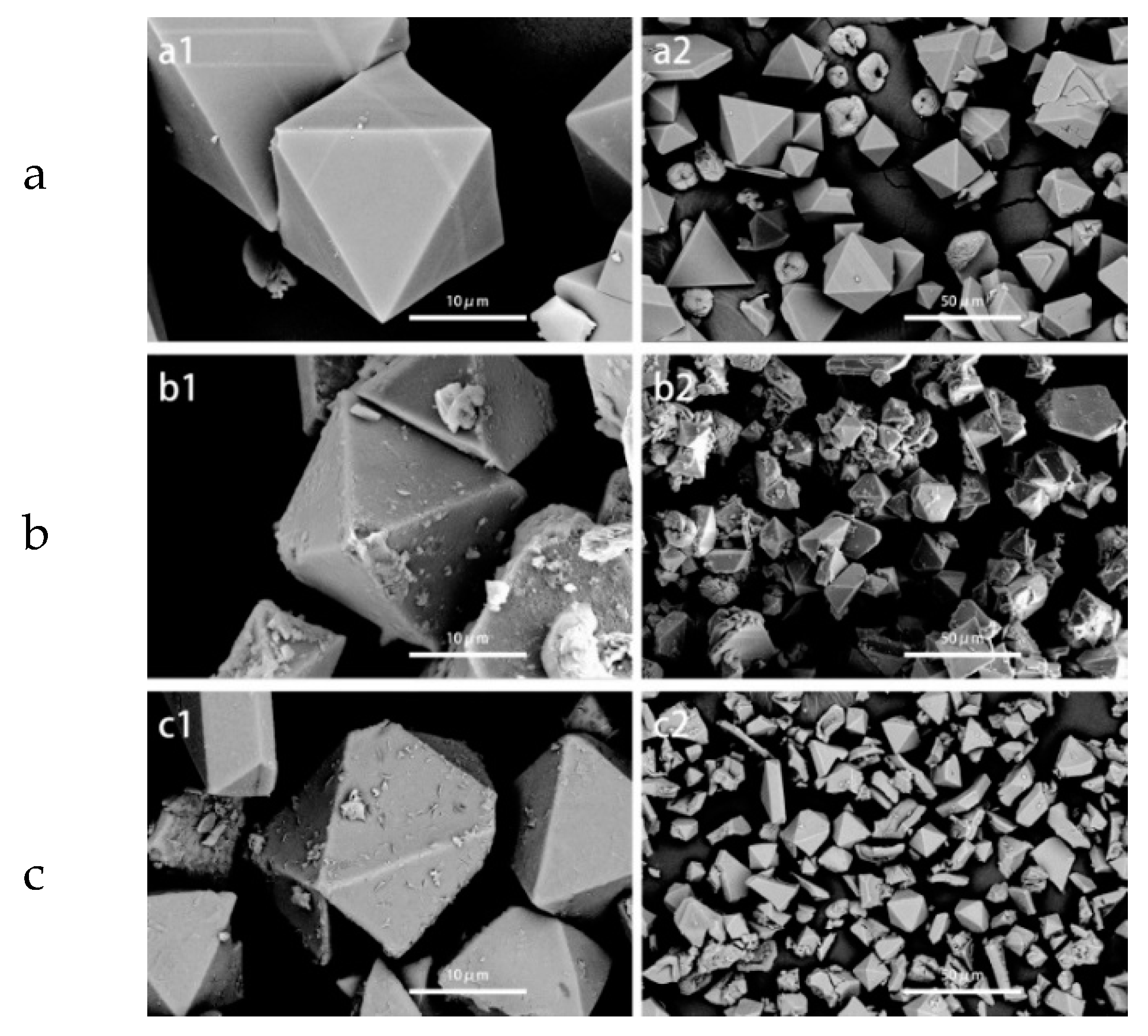 Molecules 24 02779 g003 550