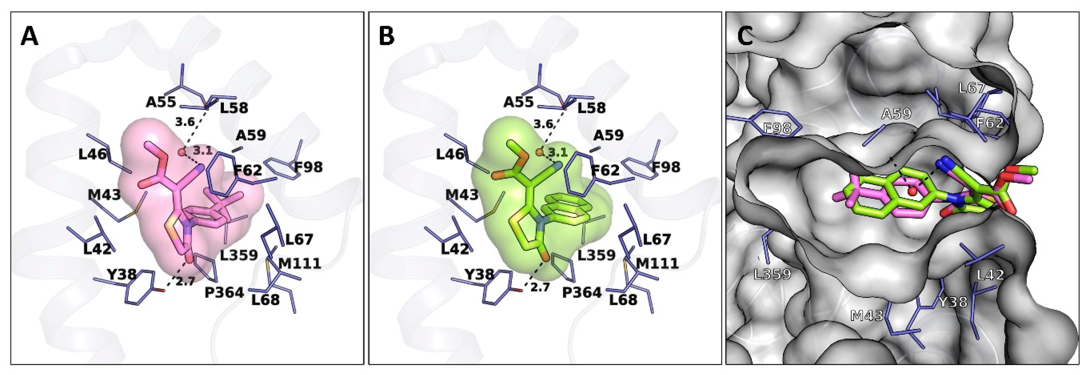 Molecules 24 02780 g002