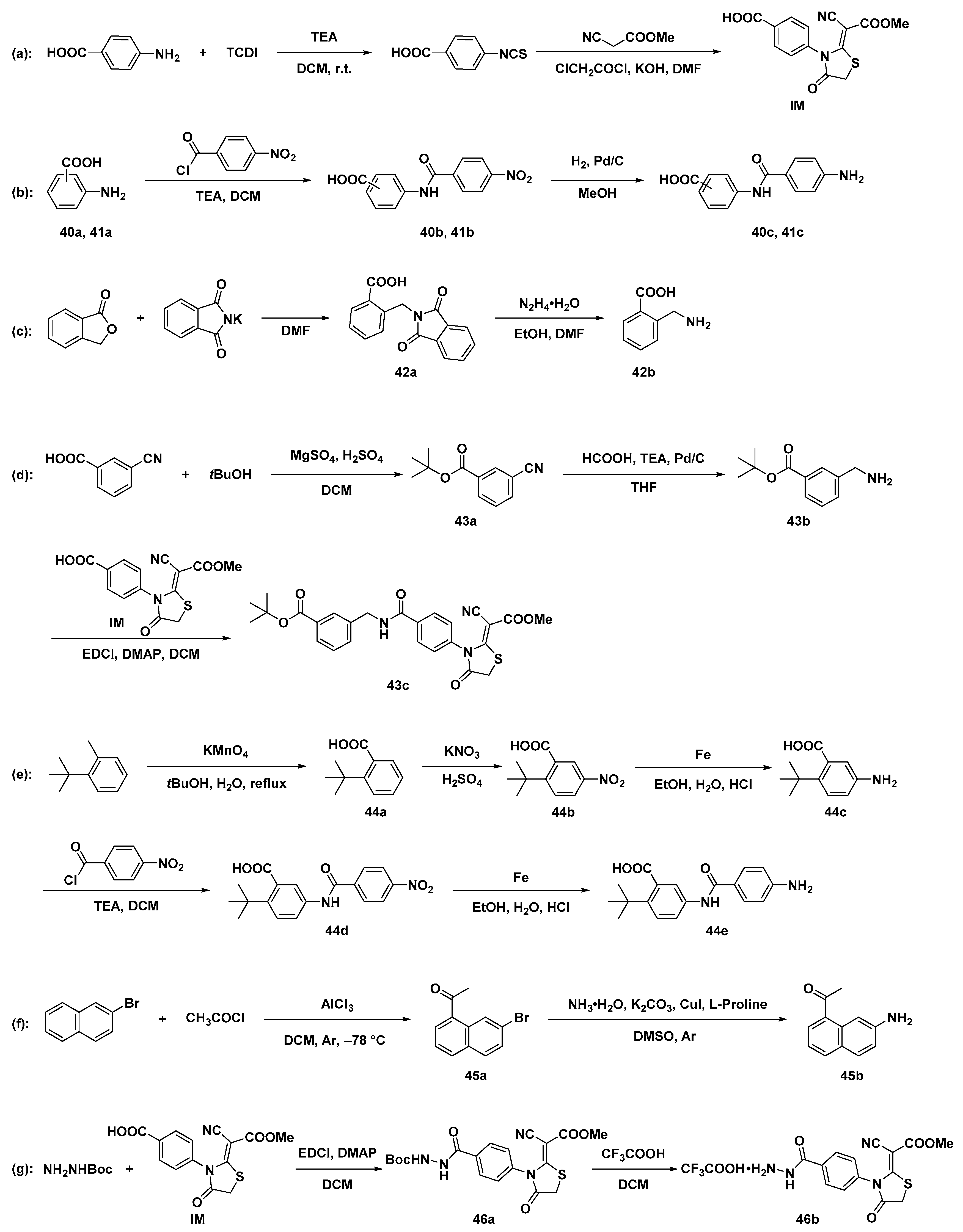 Molecules 24 02780 sch002
