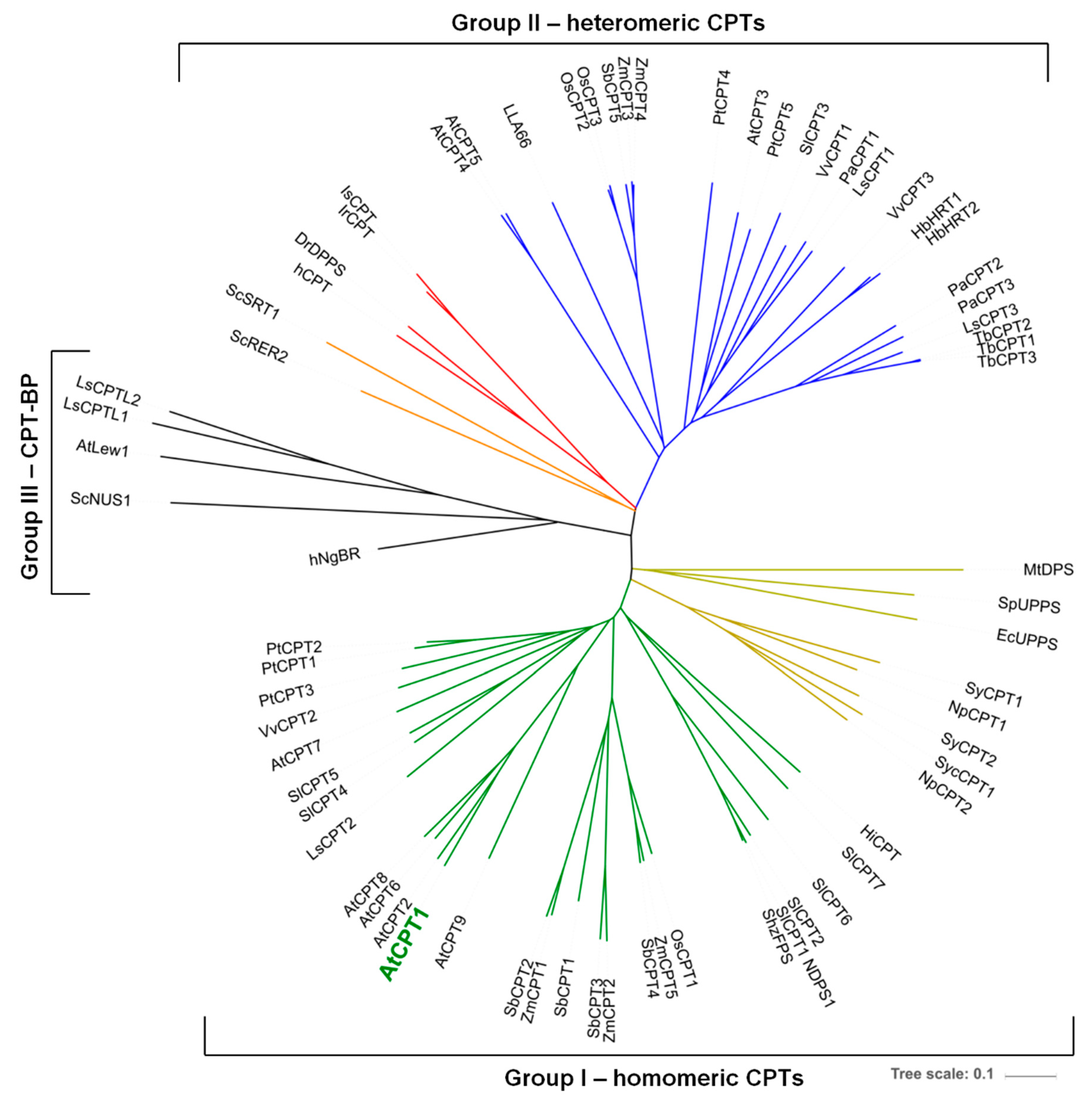 Molecules 24 02789 g006 Molecules 24 02789 g006