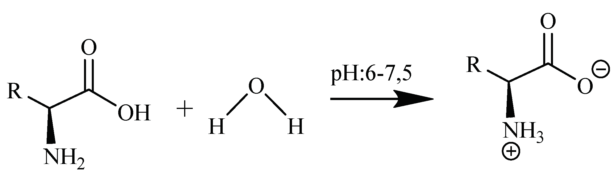 Molecules 24 02790 g005 Molecules 24 02790 g005