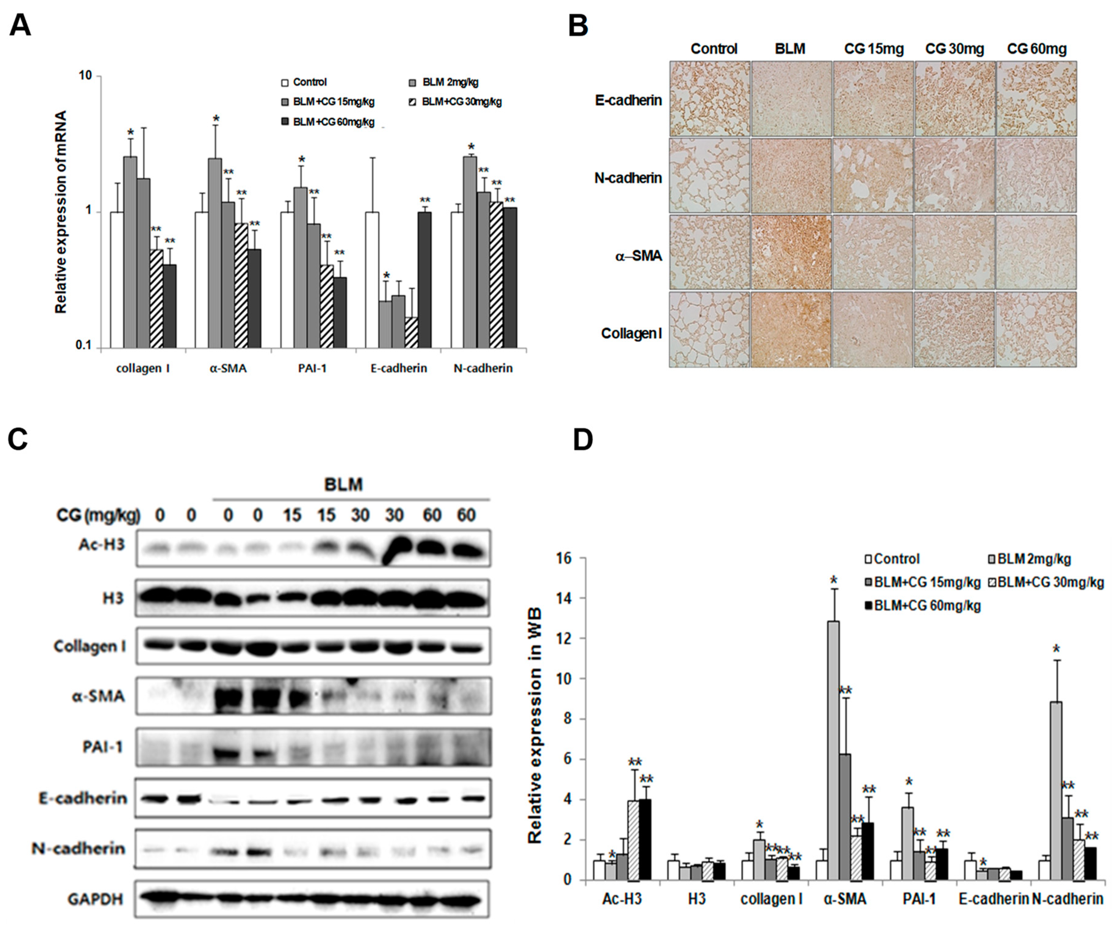 Molecules 24 02792 g003 Molecules 24 02792 g003