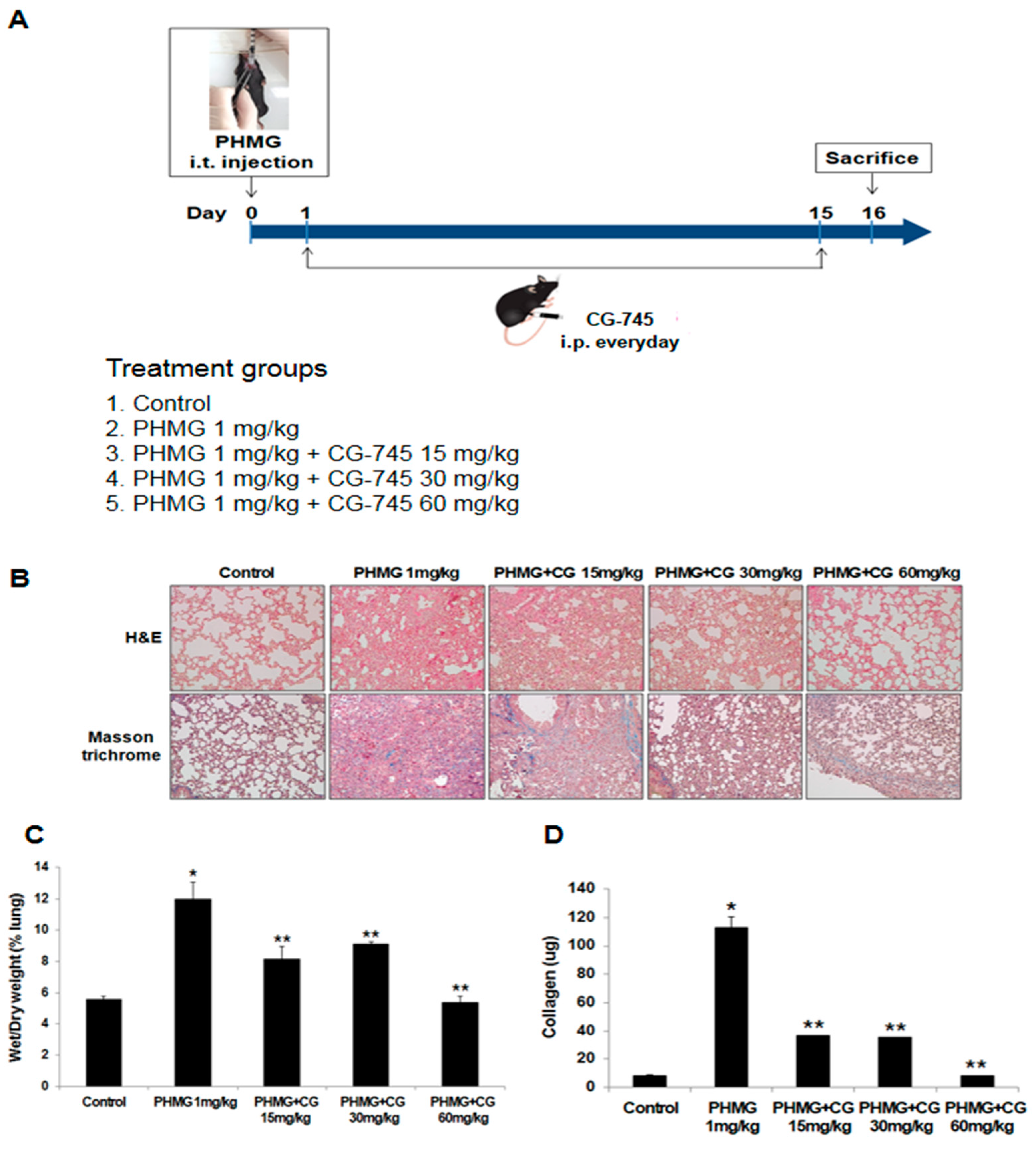 Molecules 24 02792 g004 Molecules 24 02792 g004