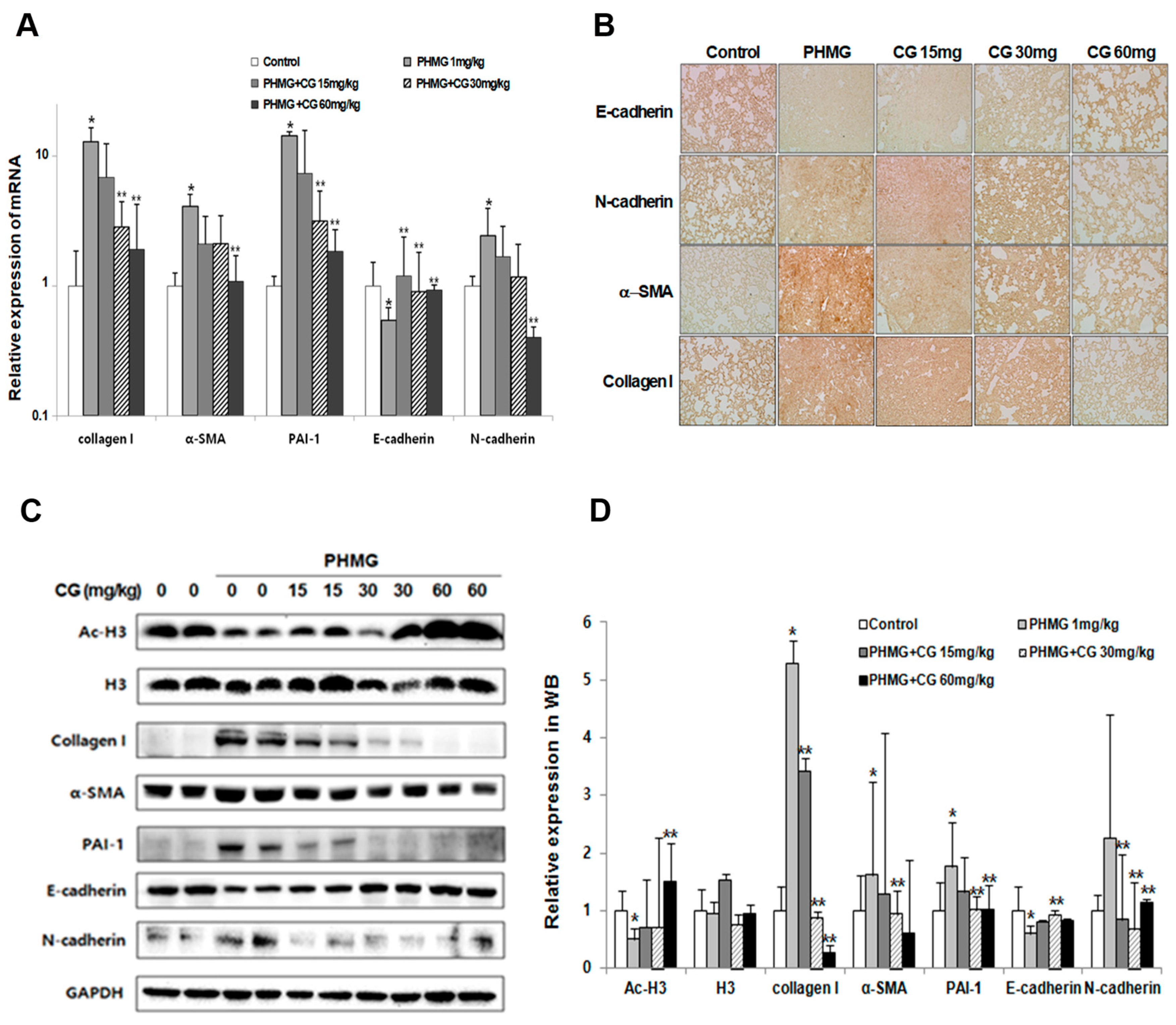 Molecules 24 02792 g006 Molecules 24 02792 g006