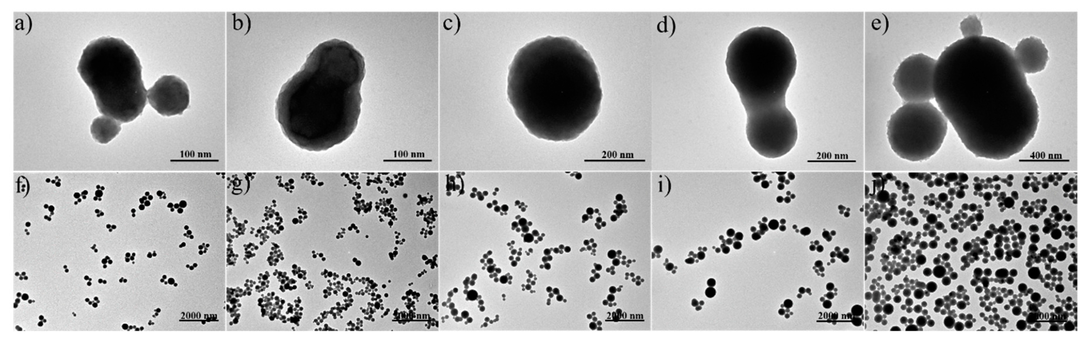 Molecules 24 02800 g004