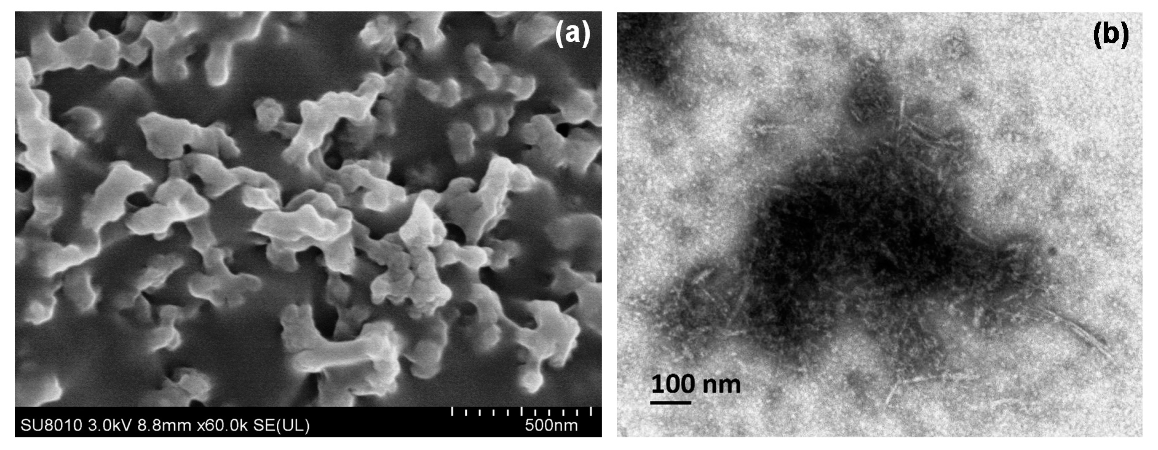 Molecules 24 02801 g003 Molecules 24 02801 g003