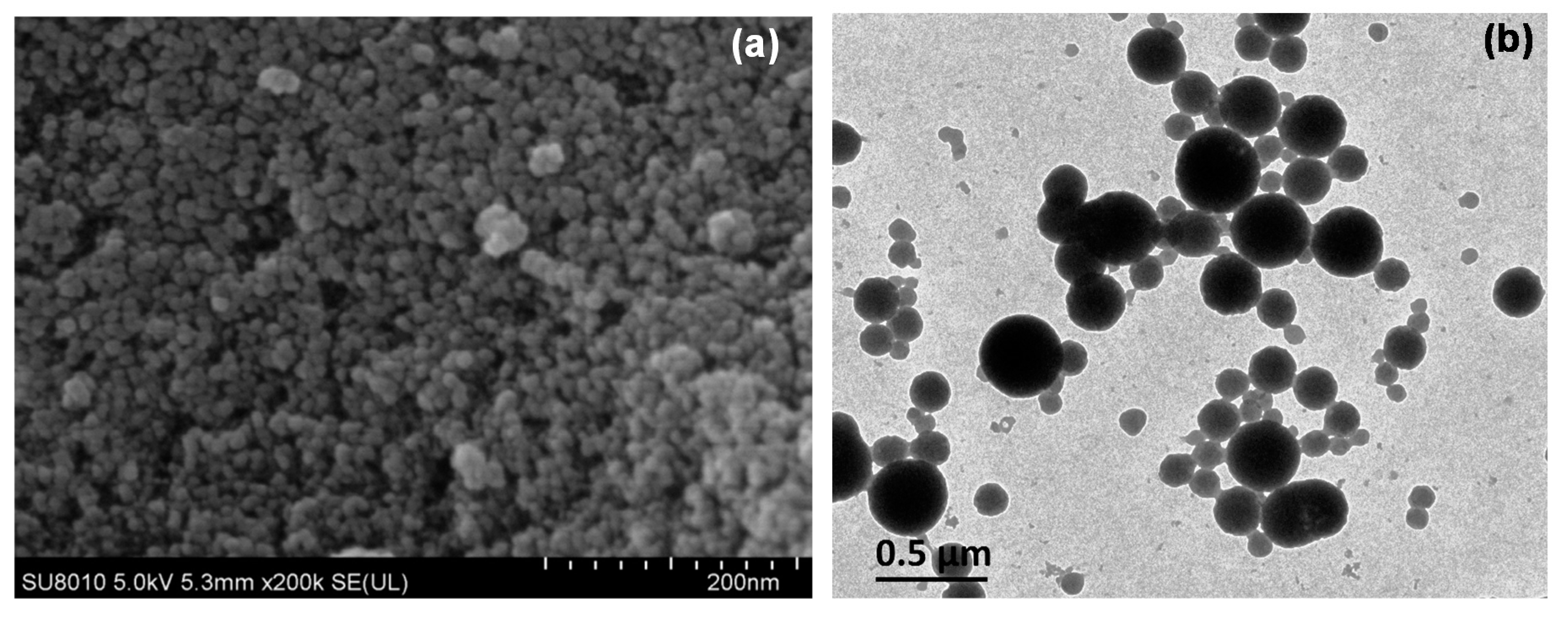 Molecules 24 02801 g004 Molecules 24 02801 g004