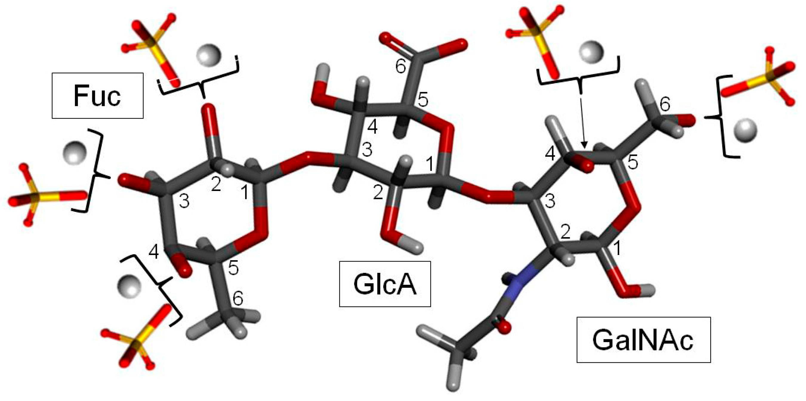 Molecules 24 02803 g006
