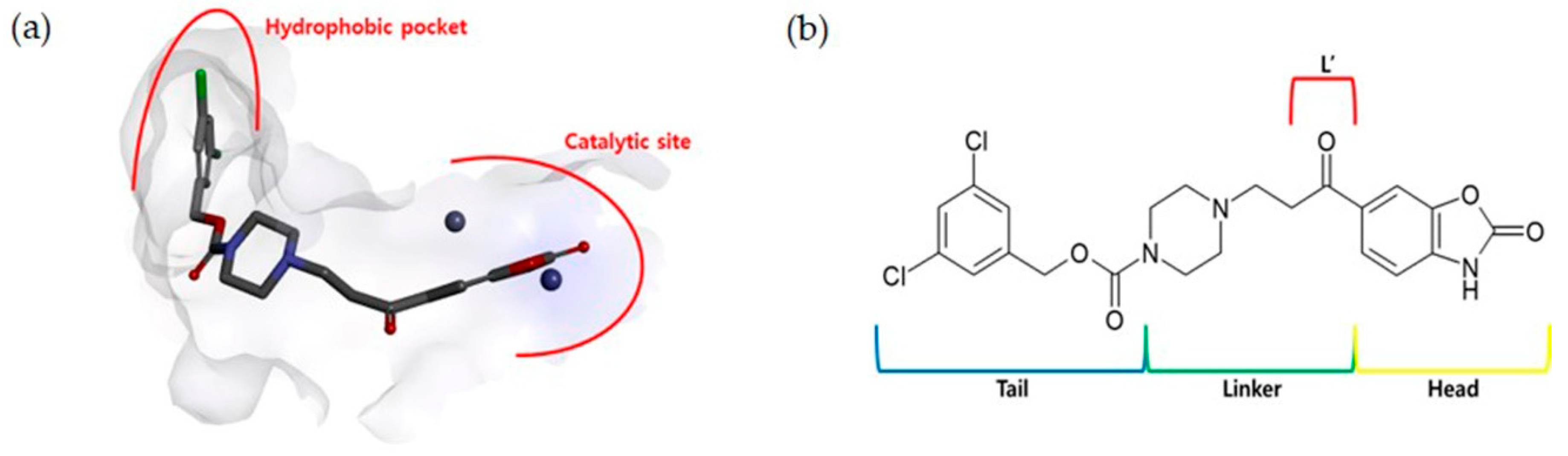 Molecules 24 02808 g001 Molecules 24 02808 g001