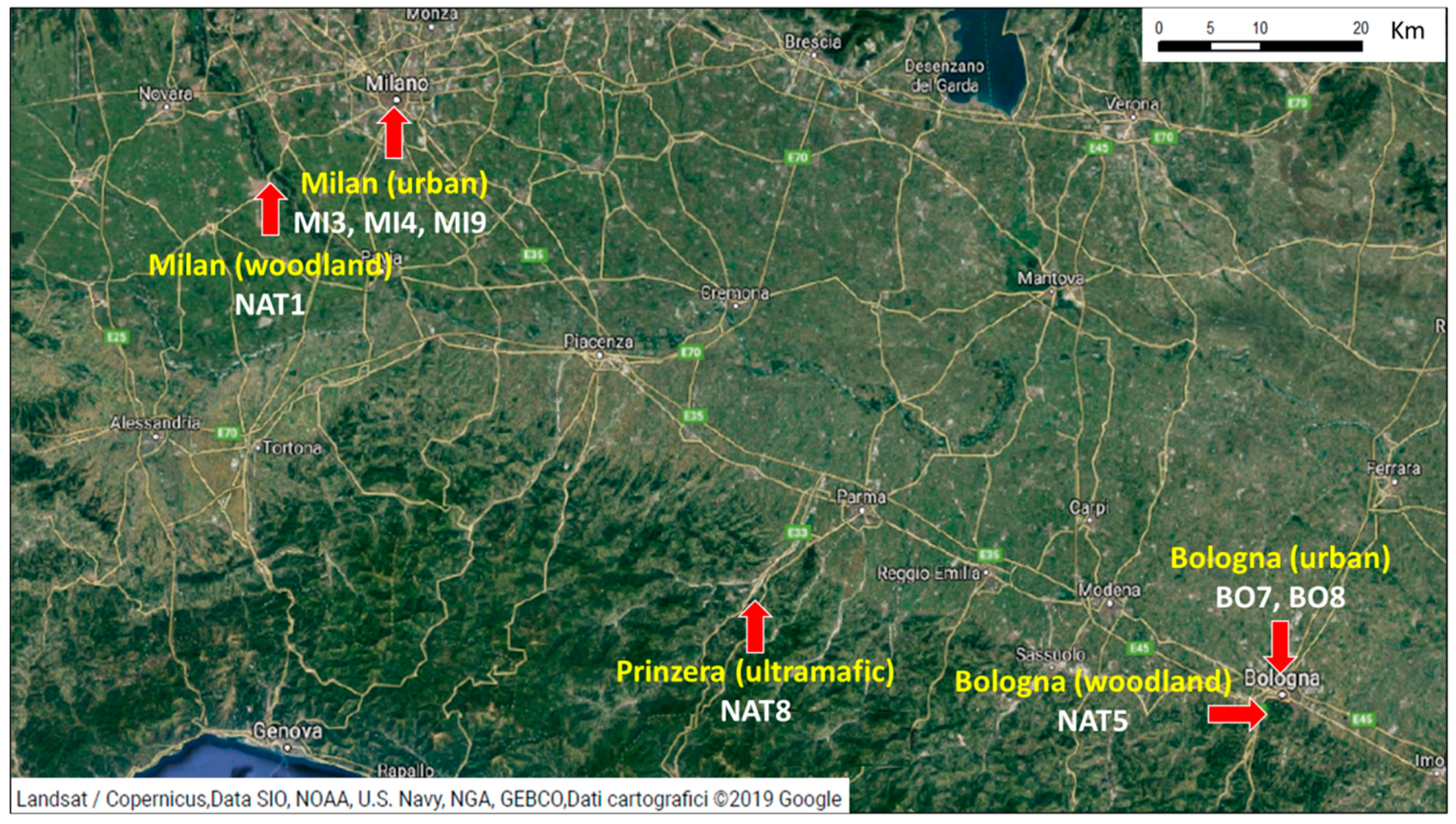 Molecules 24 02813 g001 550