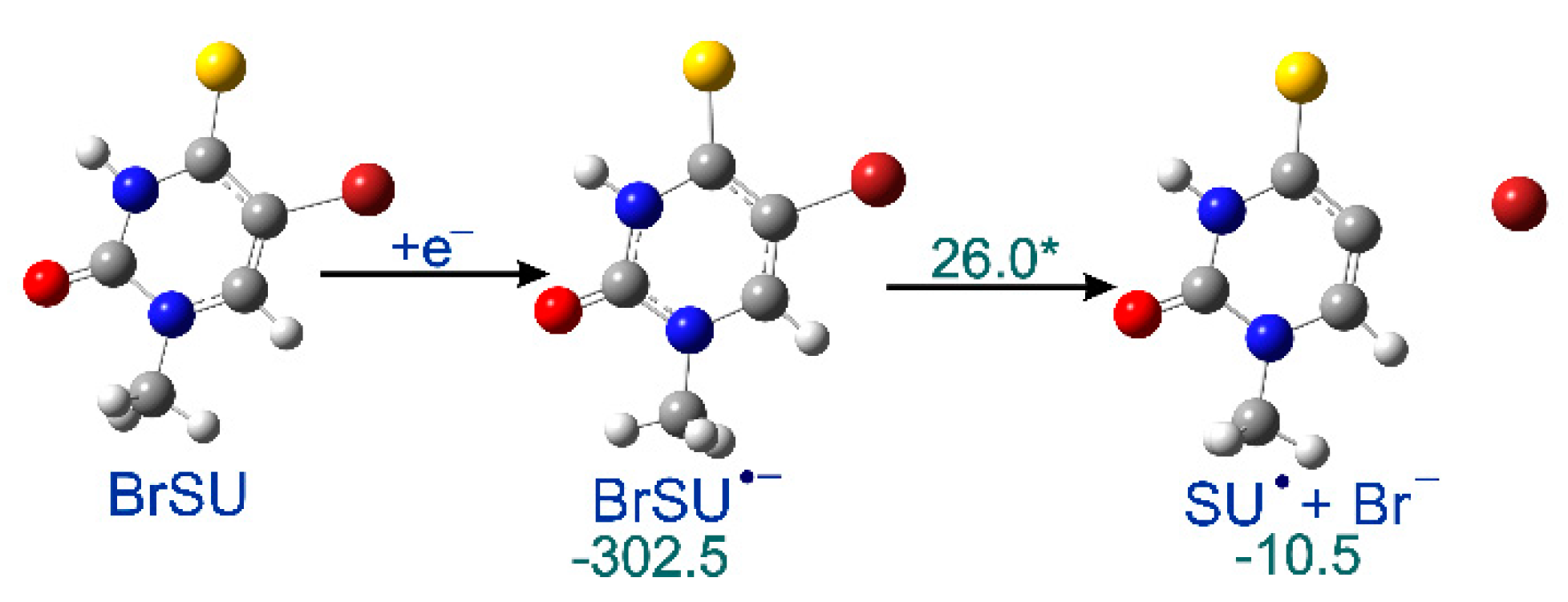 Molecules 24 02819 g003