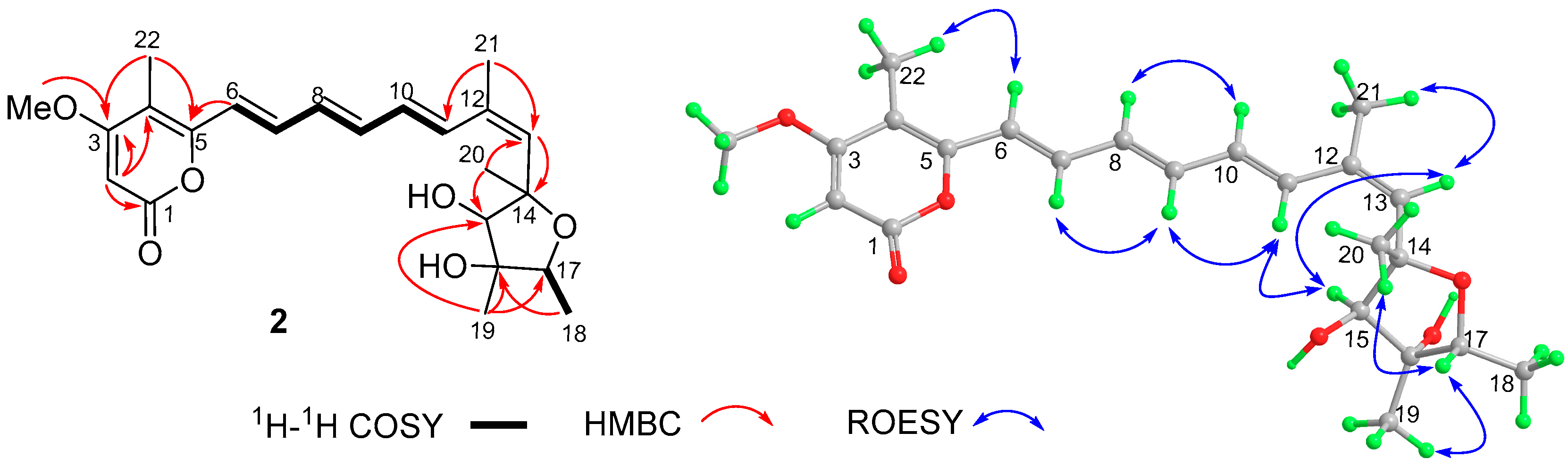 Molecules 24 02821 g003 Molecules 24 02821 g003