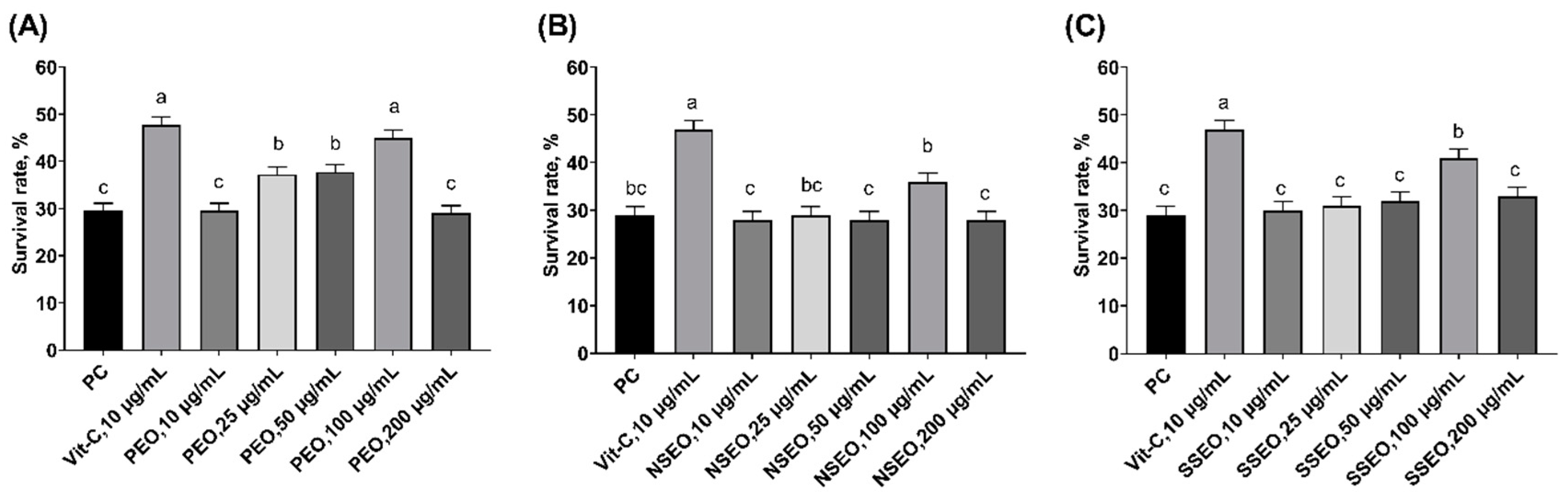 Spearmint lab essay picture