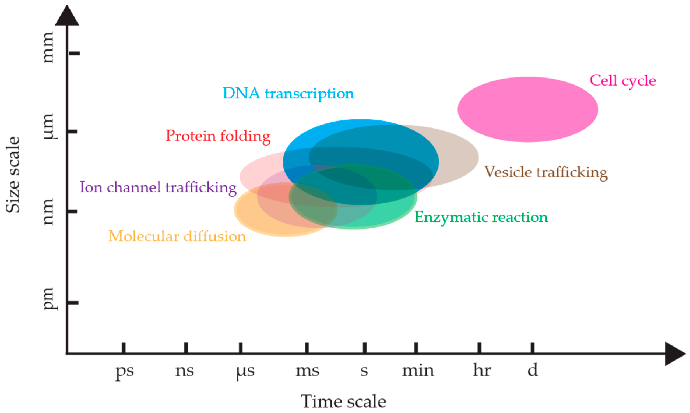 Molecules 24 02826 g001 Molecules 24 02826 g001