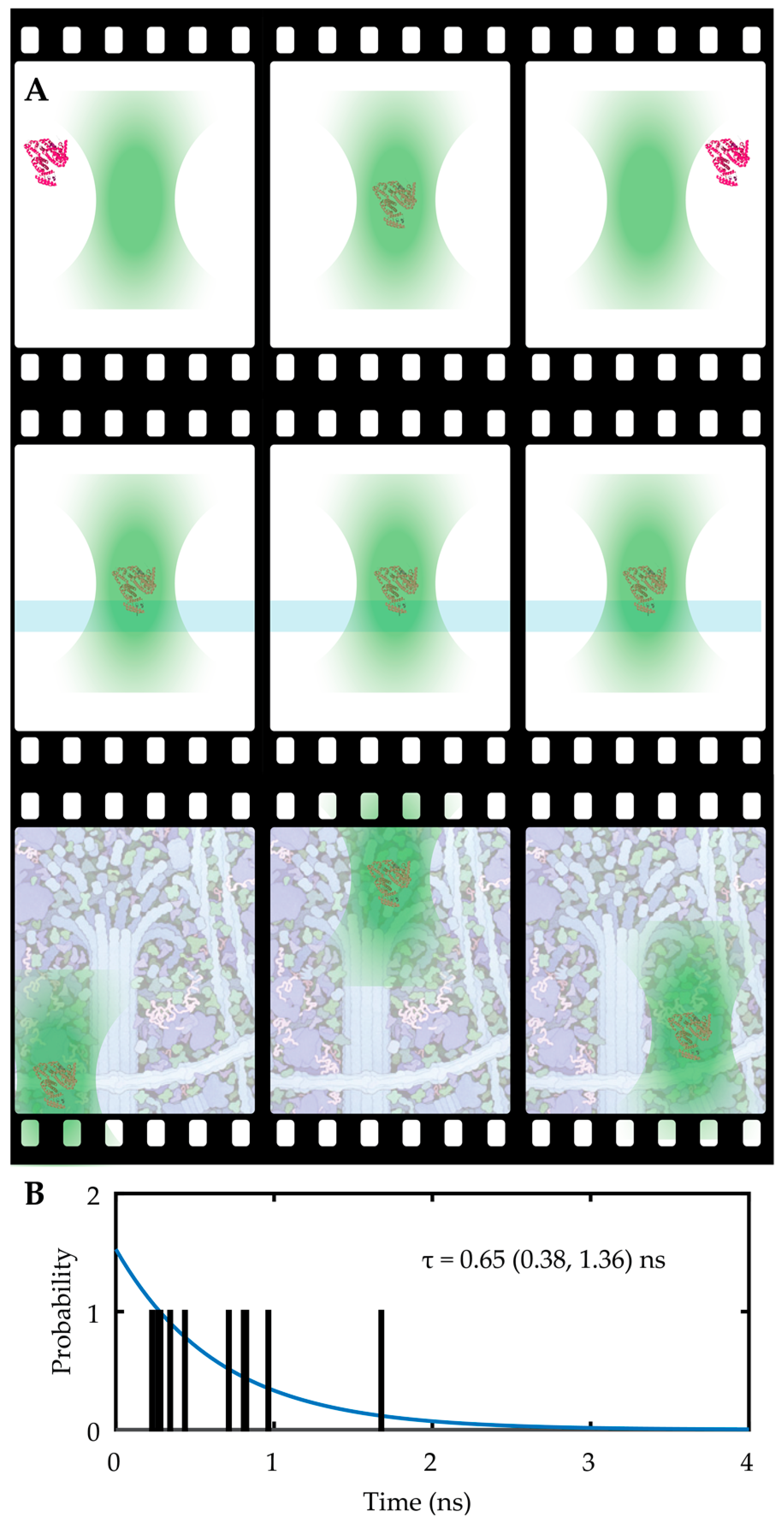 Molecules 24 02826 g002 Molecules 24 02826 g002