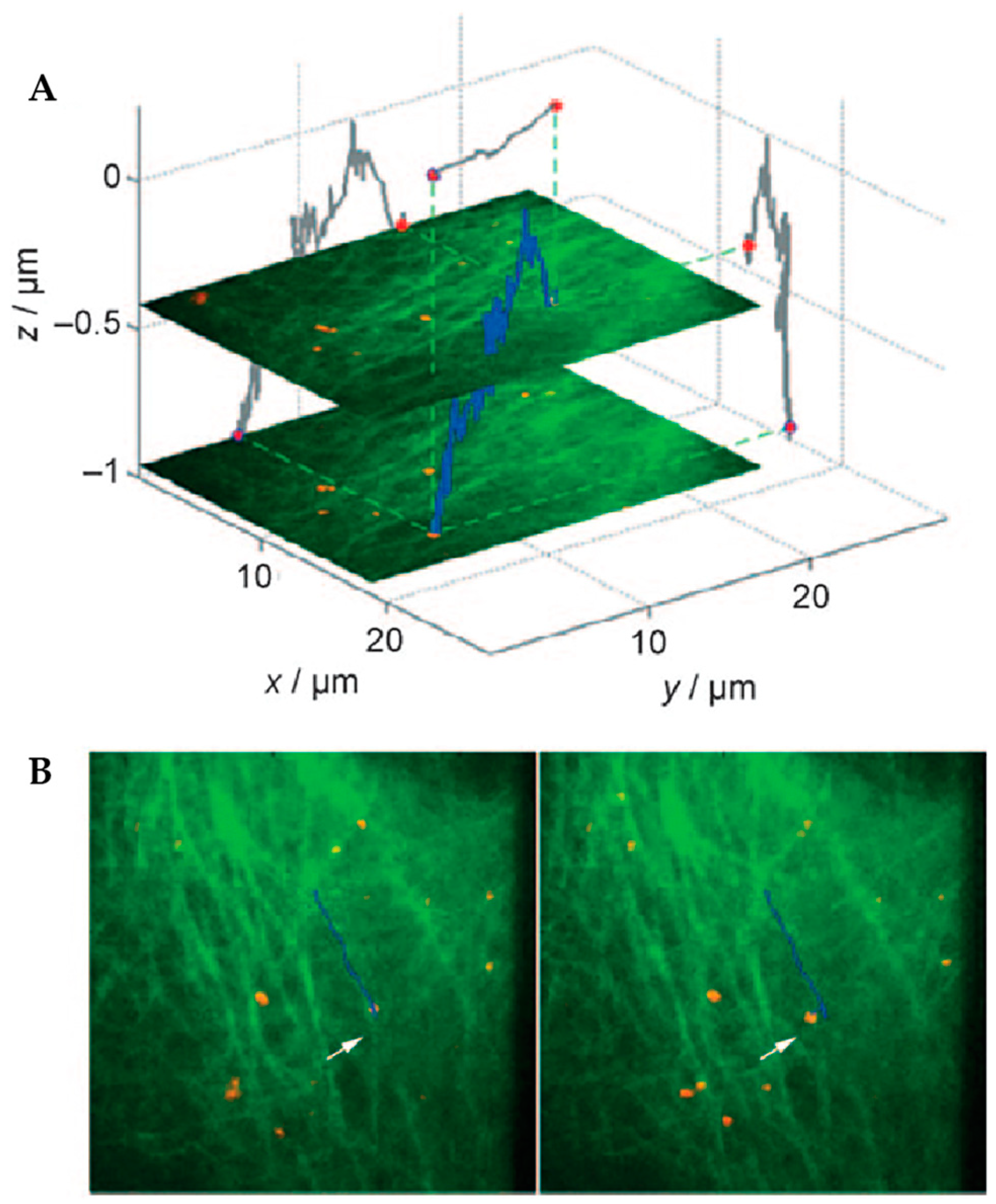 Molecules 24 02826 g013 Molecules 24 02826 g013