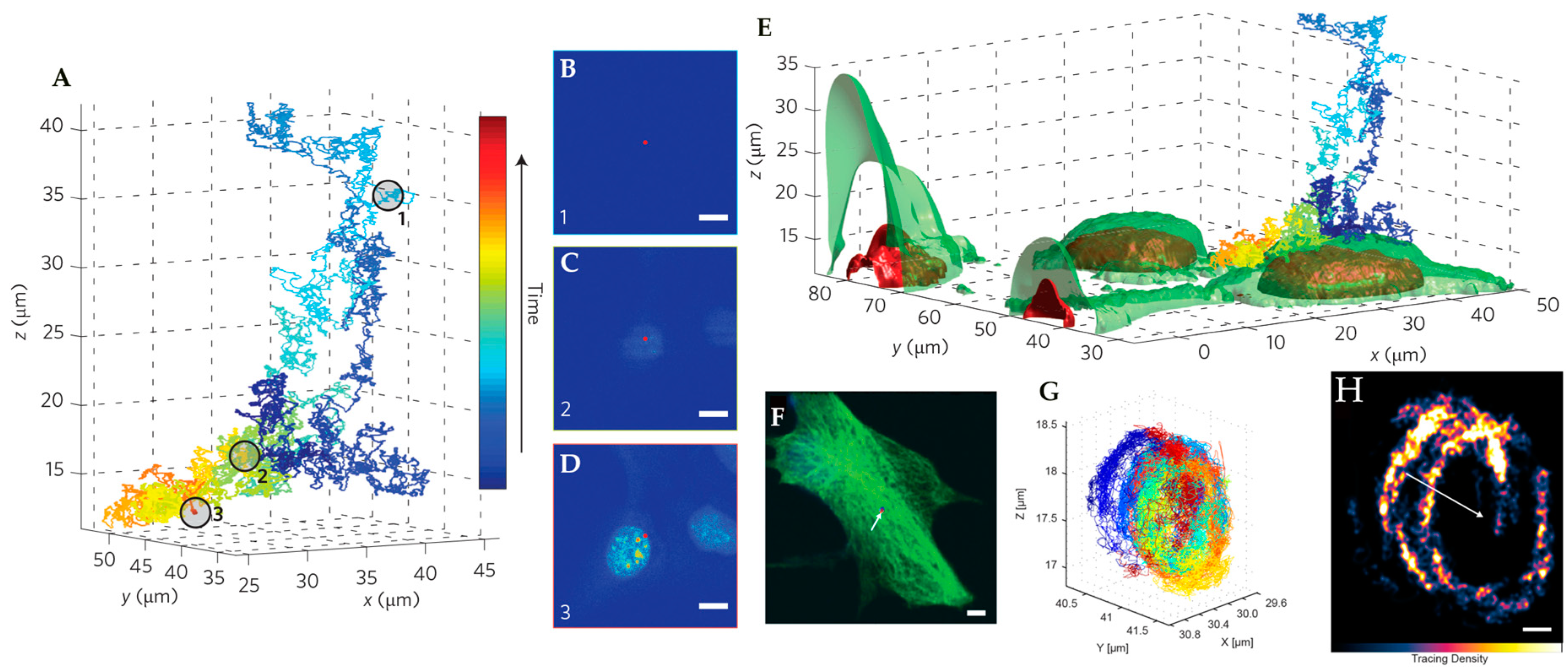 Molecules 24 02826 g015 Molecules 24 02826 g015