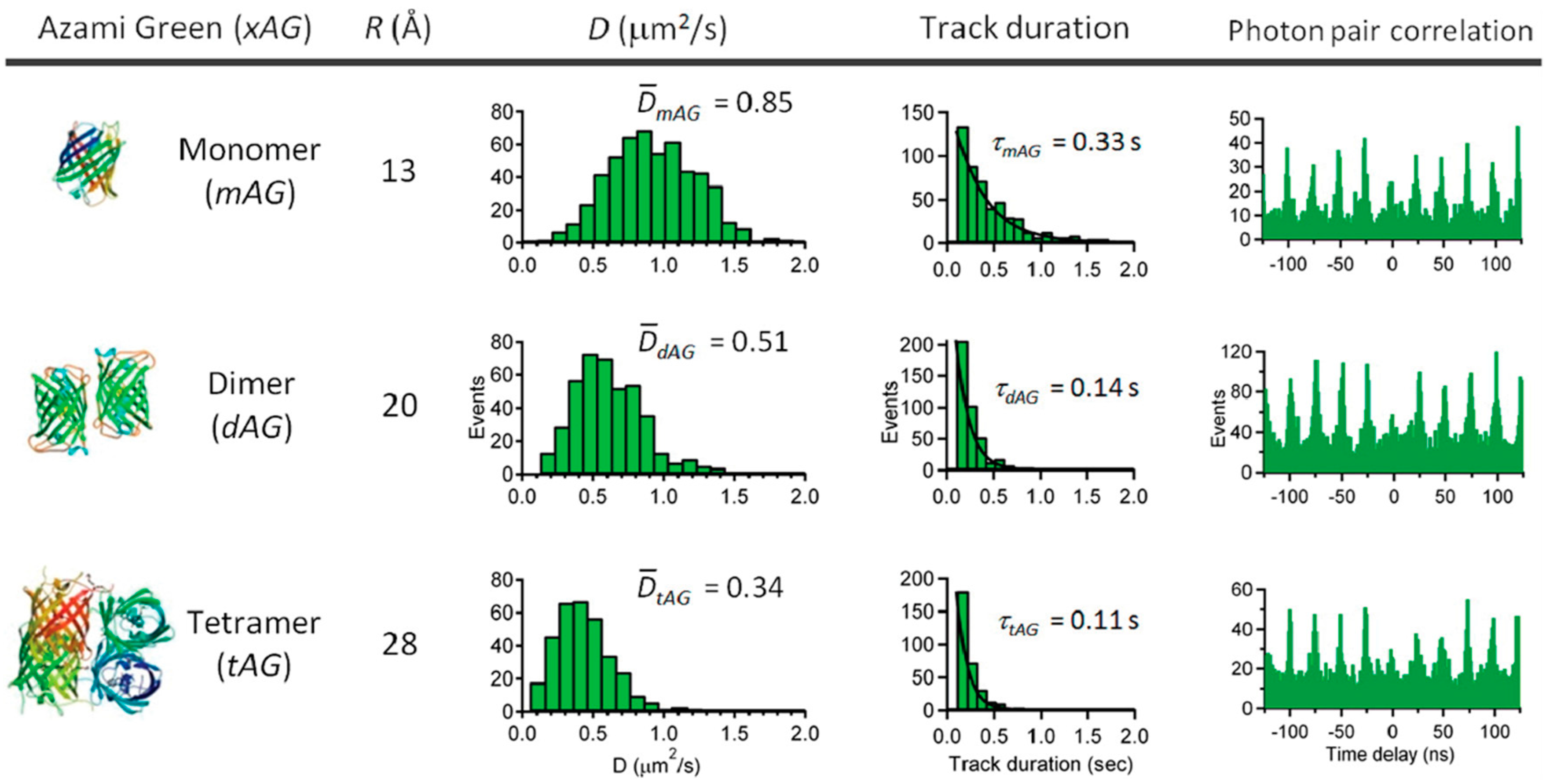 Molecules 24 02826 g016 Molecules 24 02826 g016