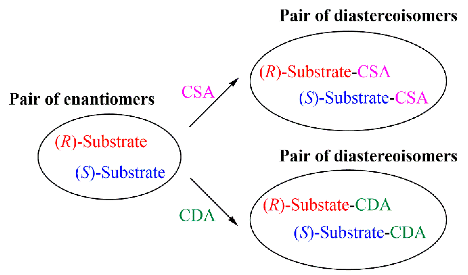 Molecules 24 02830 g001 Molecules 24 02830 g001