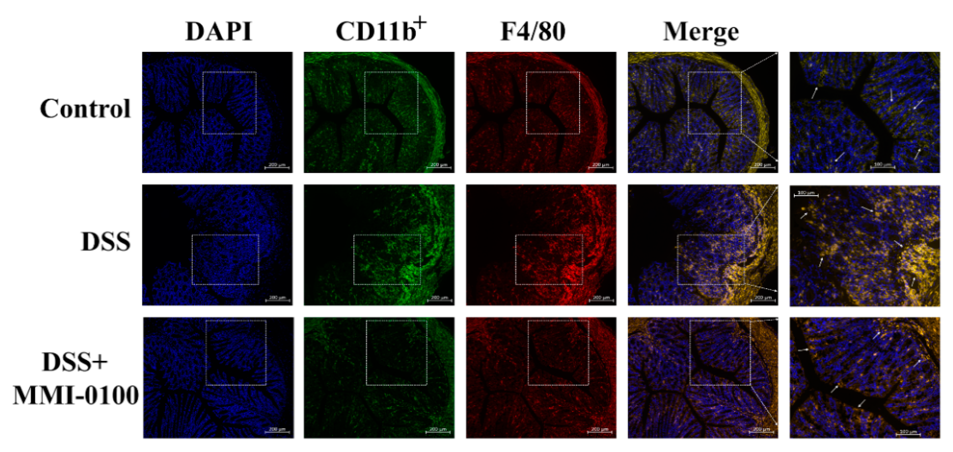 Molecules 24 02832 g004 Molecules 24 02832 g004