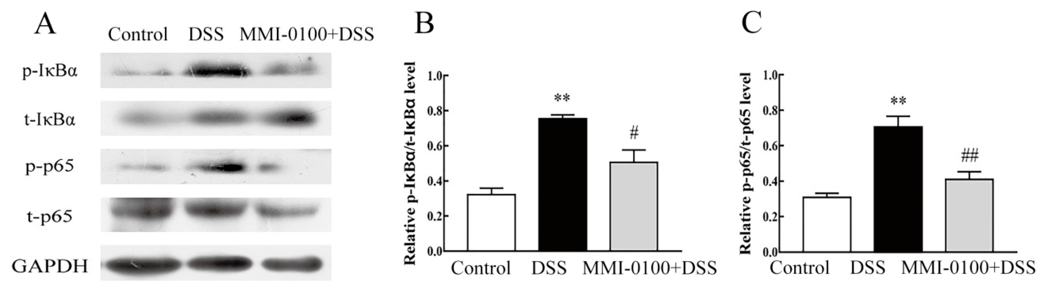 Molecules 24 02832 g007 Molecules 24 02832 g007
